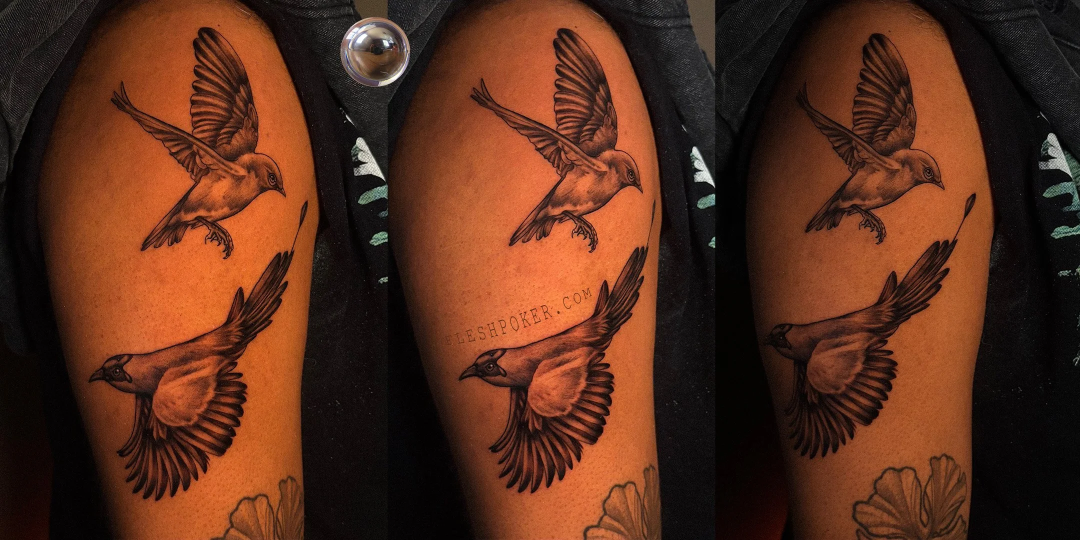 CUSTOM BIRDS 