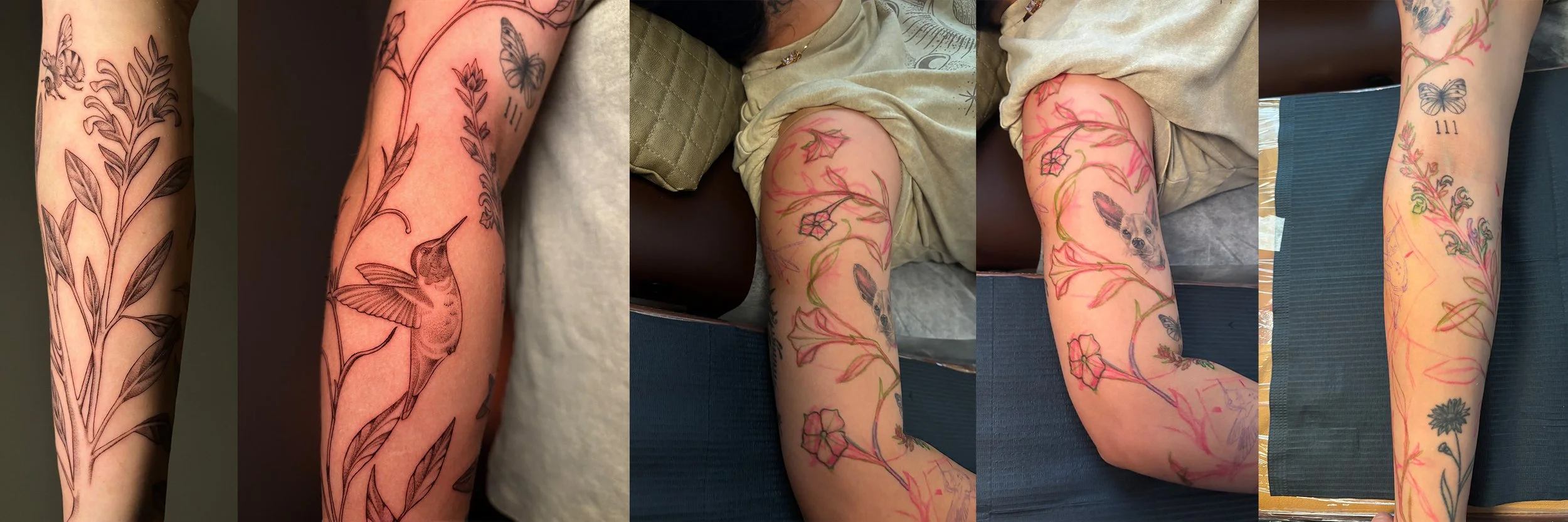 BOTANICAL DRAWN-ON