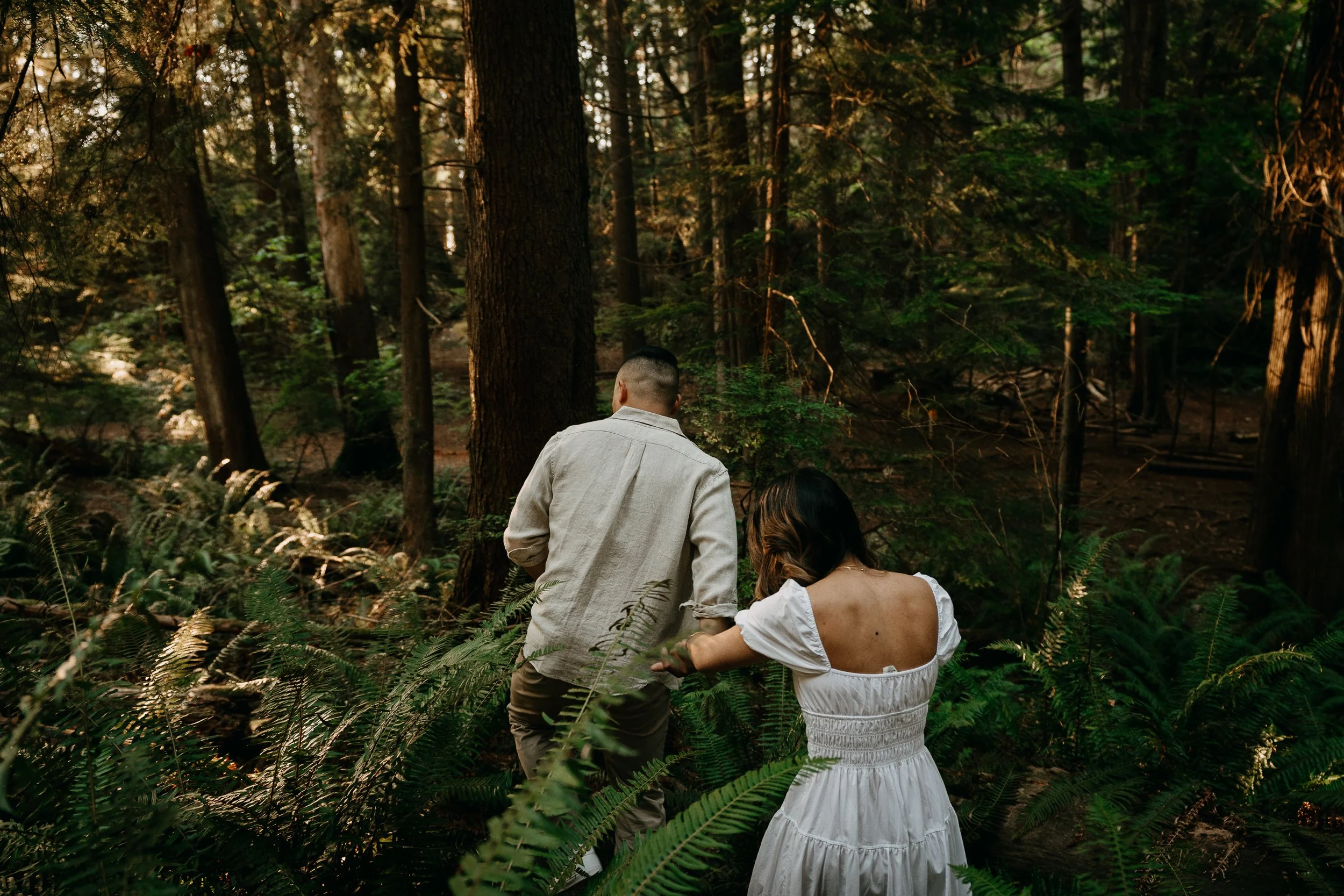 walk through lighthouse park forest trail