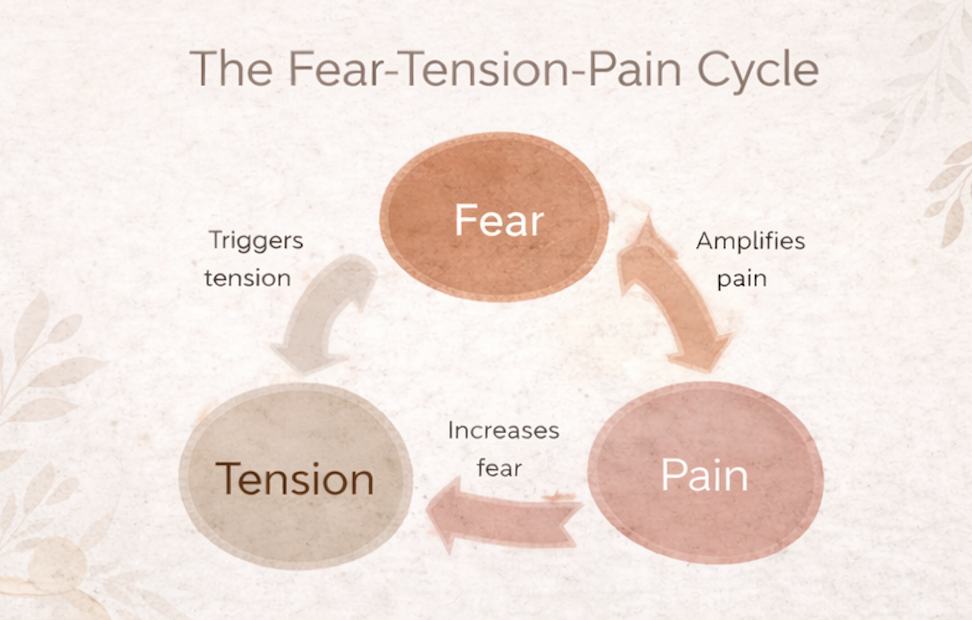 Diagram showing the fear–tension–pain cycle in childbirth, illustrating how fear increases tension and pain during labor