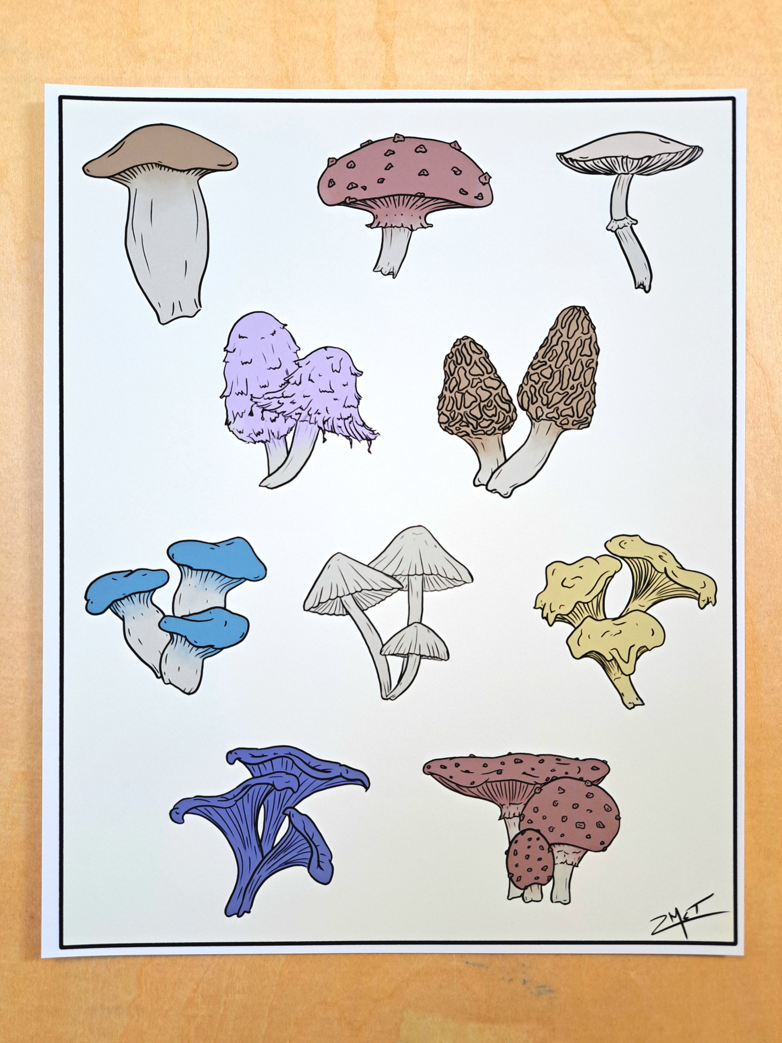 mushrooms 8x10.jpg