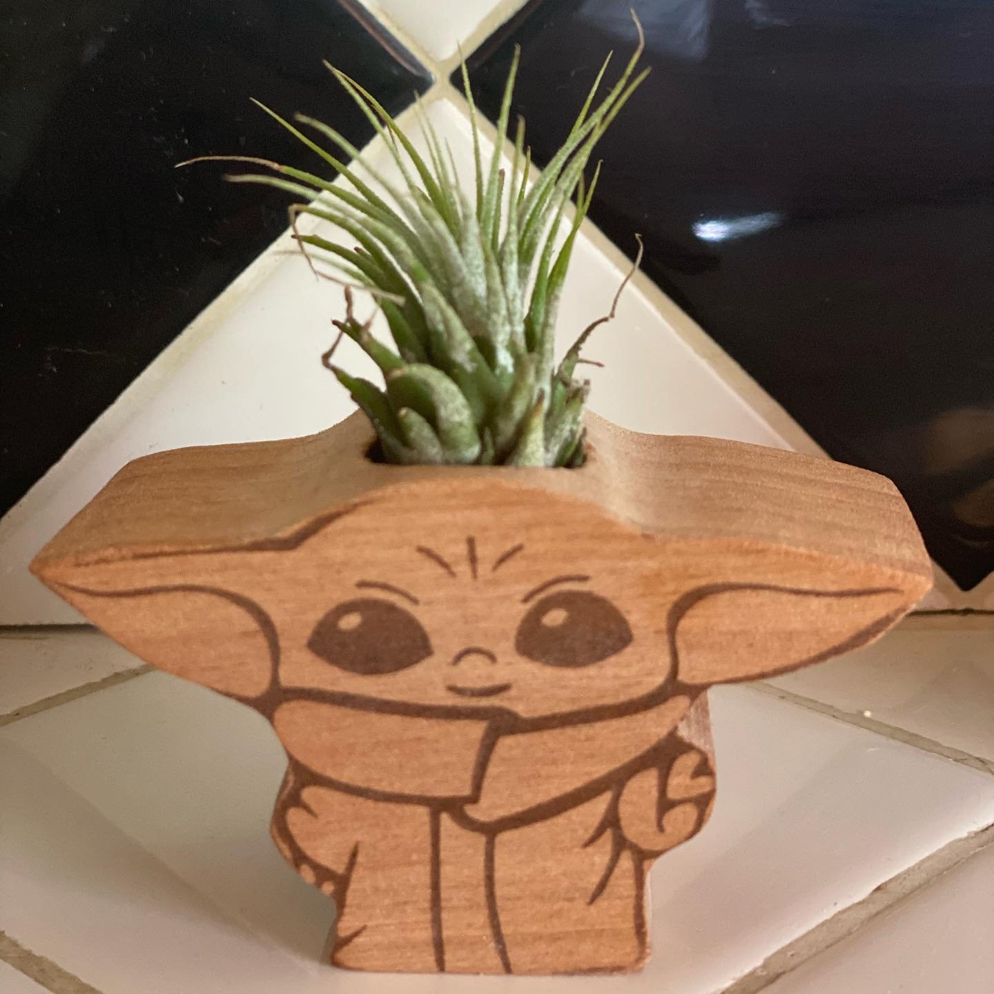Air plant holder 🪴

#woodworker #craftmanship #starwars #renonv #farmersmarket