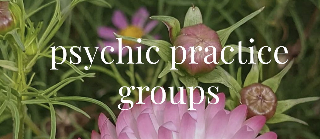 Psychic Practice Group