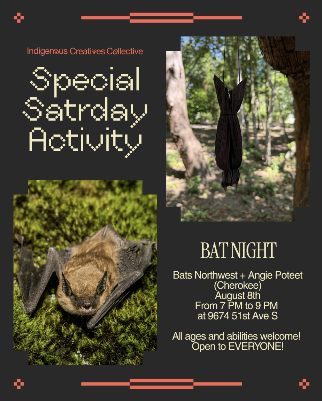 BAT NIGHT!