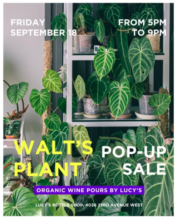 Pop-Up Plant Sale @ Lucy's Bottle Shop