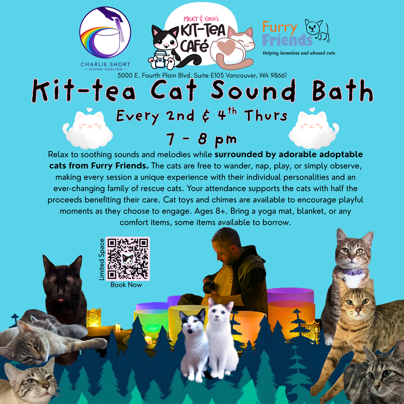 Kit-tea Cat Sound Bath