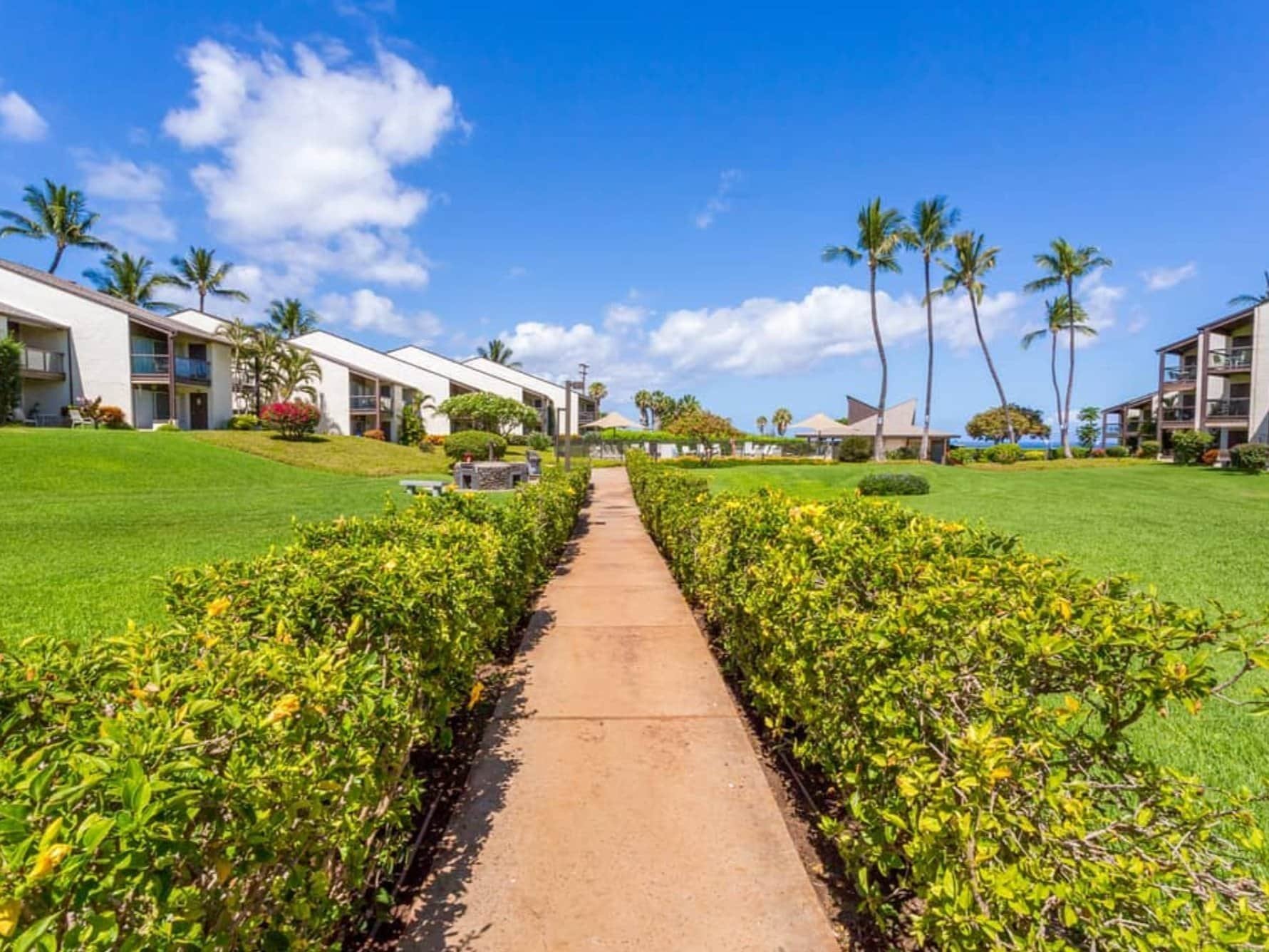 Hale Kamaole Pathway leading to a lush green lawn, under a bright blue sky with fluffy white clouds and tall palm trees in the background.