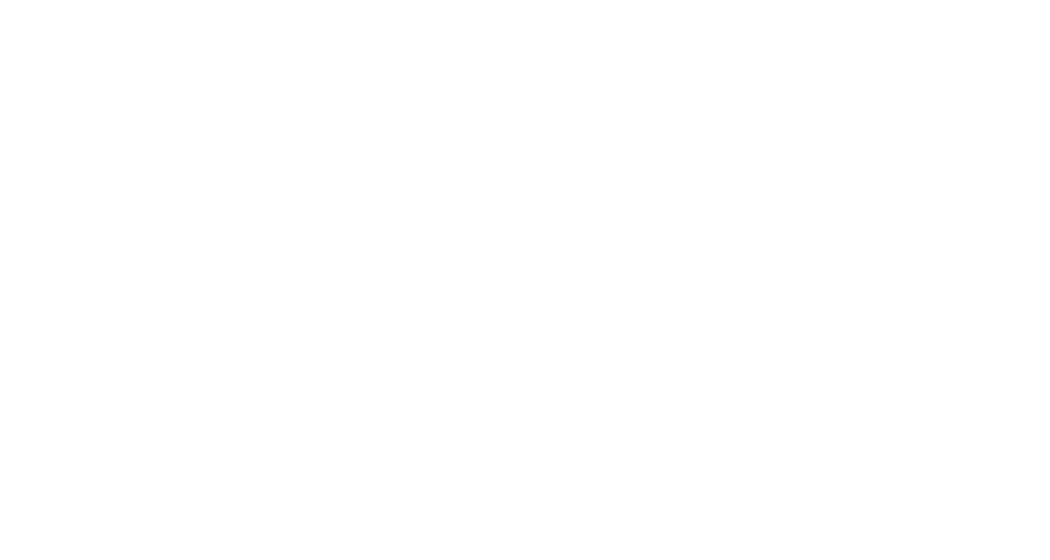 Simple Plan Foundation