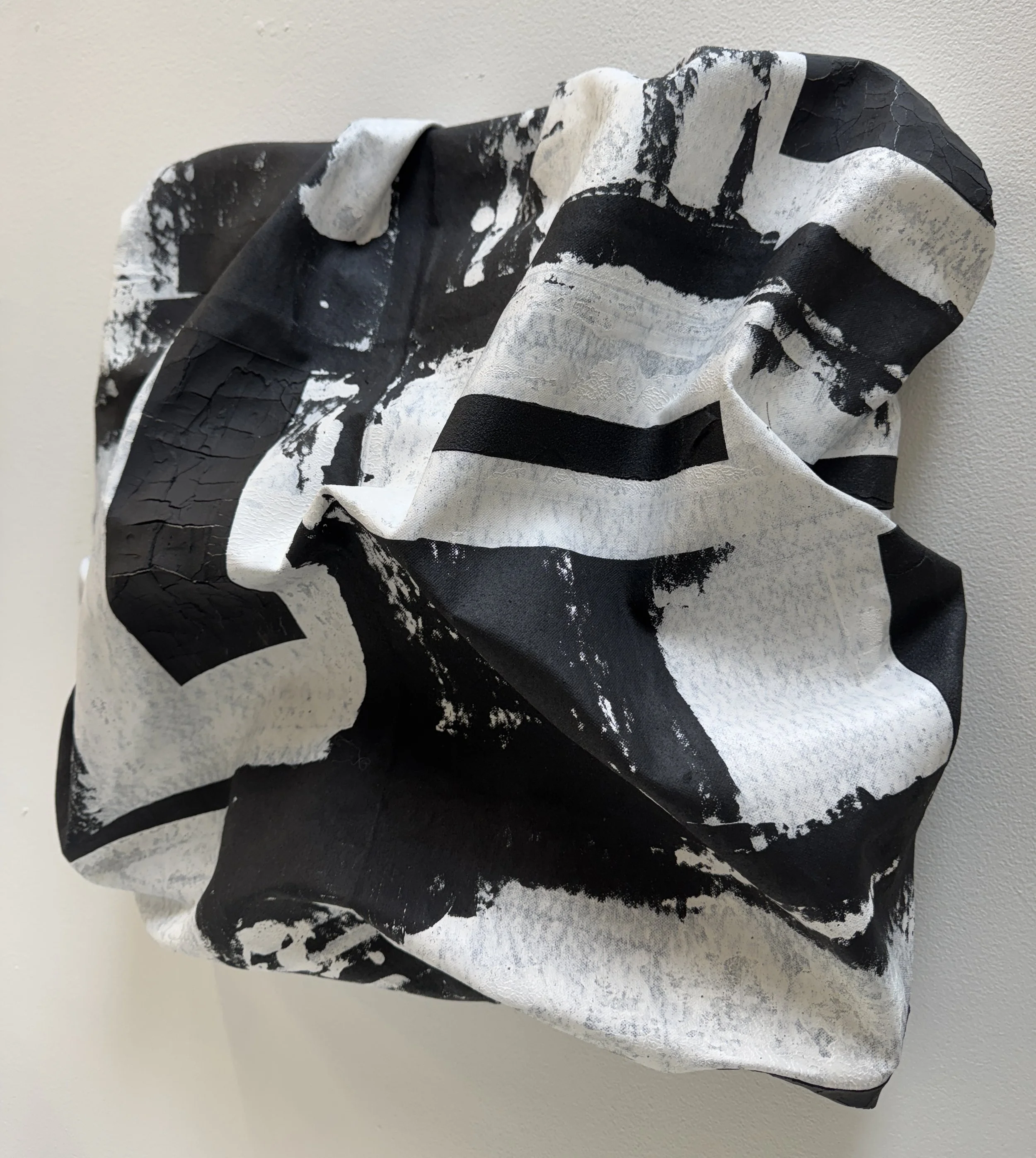Work 8 - Black is White Series - Schira Withers BFA Year 2 - 2025 image 2.jpg