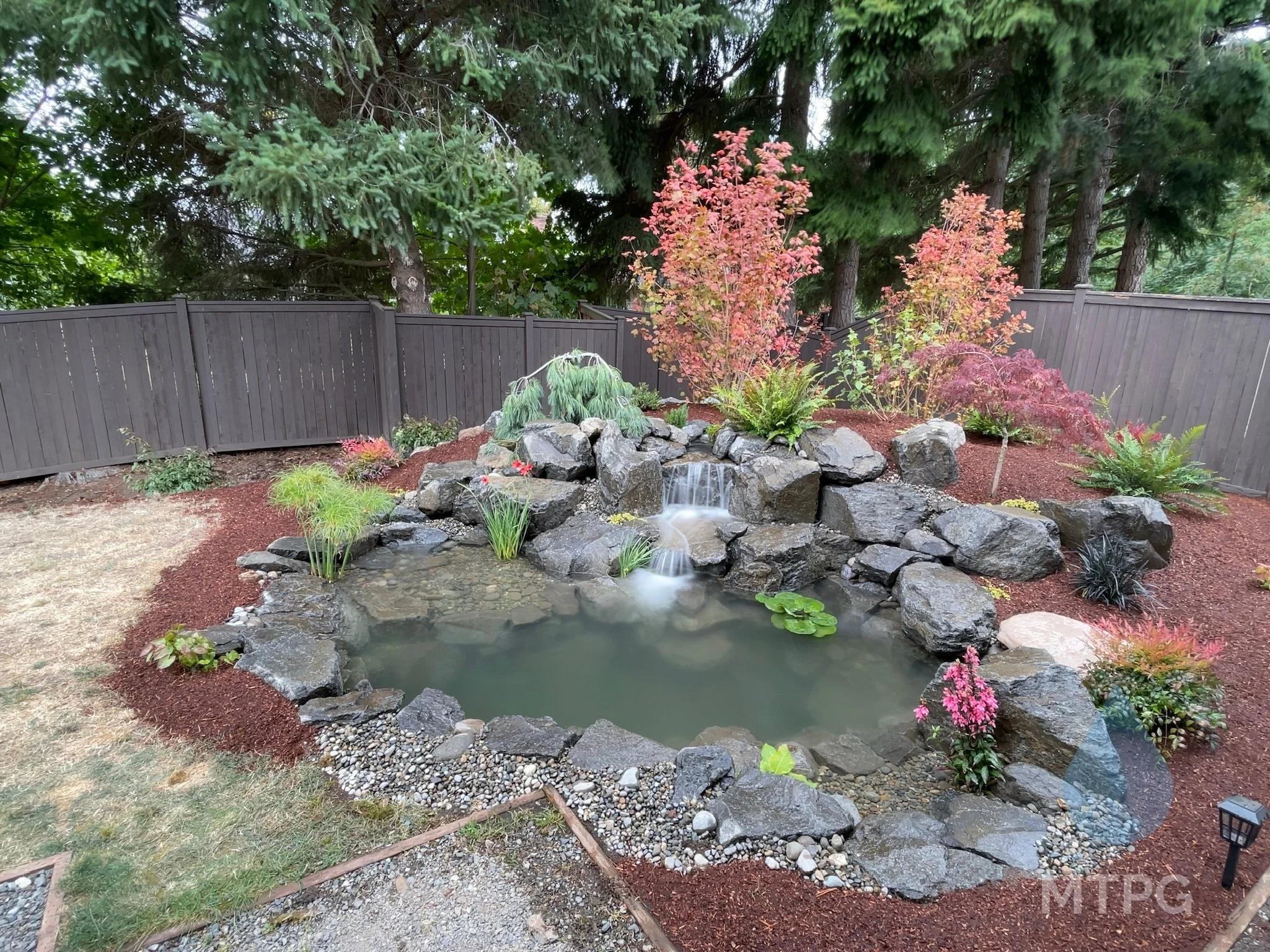 Pond Install Pricing in Washington State — Mark The Pond Guy