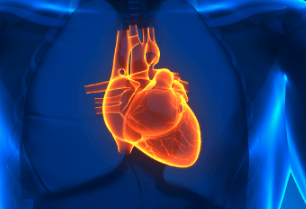 Time-Restricted Eating &amp; Cardiovascular Health