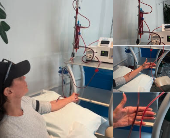 EBOO Update: Fourth Session Complete!