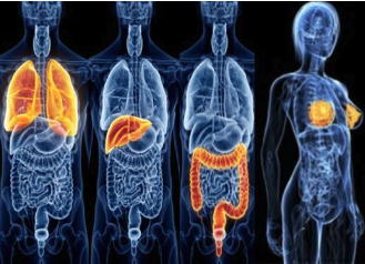 Scans &amp; Why You Need To Do Them