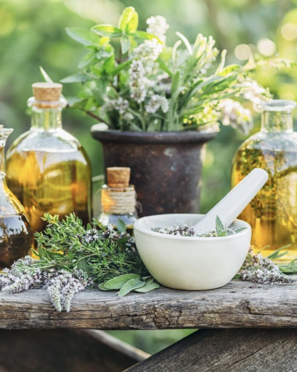 Why Homeopathic Medicine Isn’t Widely Supported (and Why the Conversation Matters)