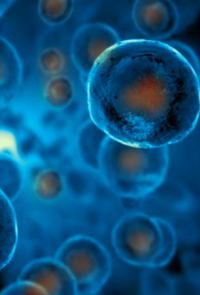 The Future of Medicine May Not Be Medicine
