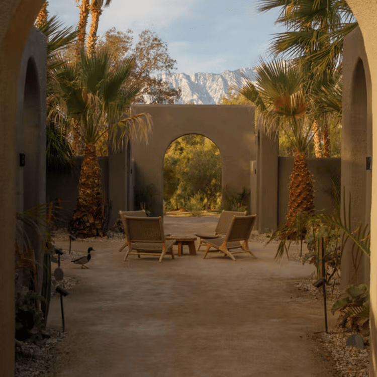 Two Bunch Palms