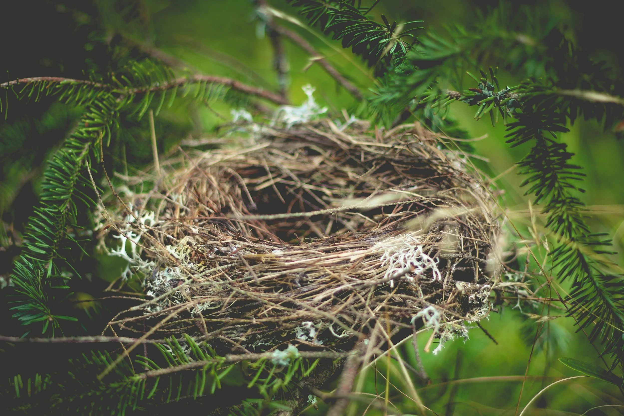 When Everything You Built Stops Fitting: ADHD, Perimenopause, and Empty Nesting