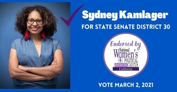 We are proud to support @sydneykamlager in her campaign to represent State Senate District 30. 

As an assemblymember, @asmkamlagerdove has been an unwavering champion for women&rsquo;s rights, equality, + the environment.

Vote by March 2, 2021. Fin