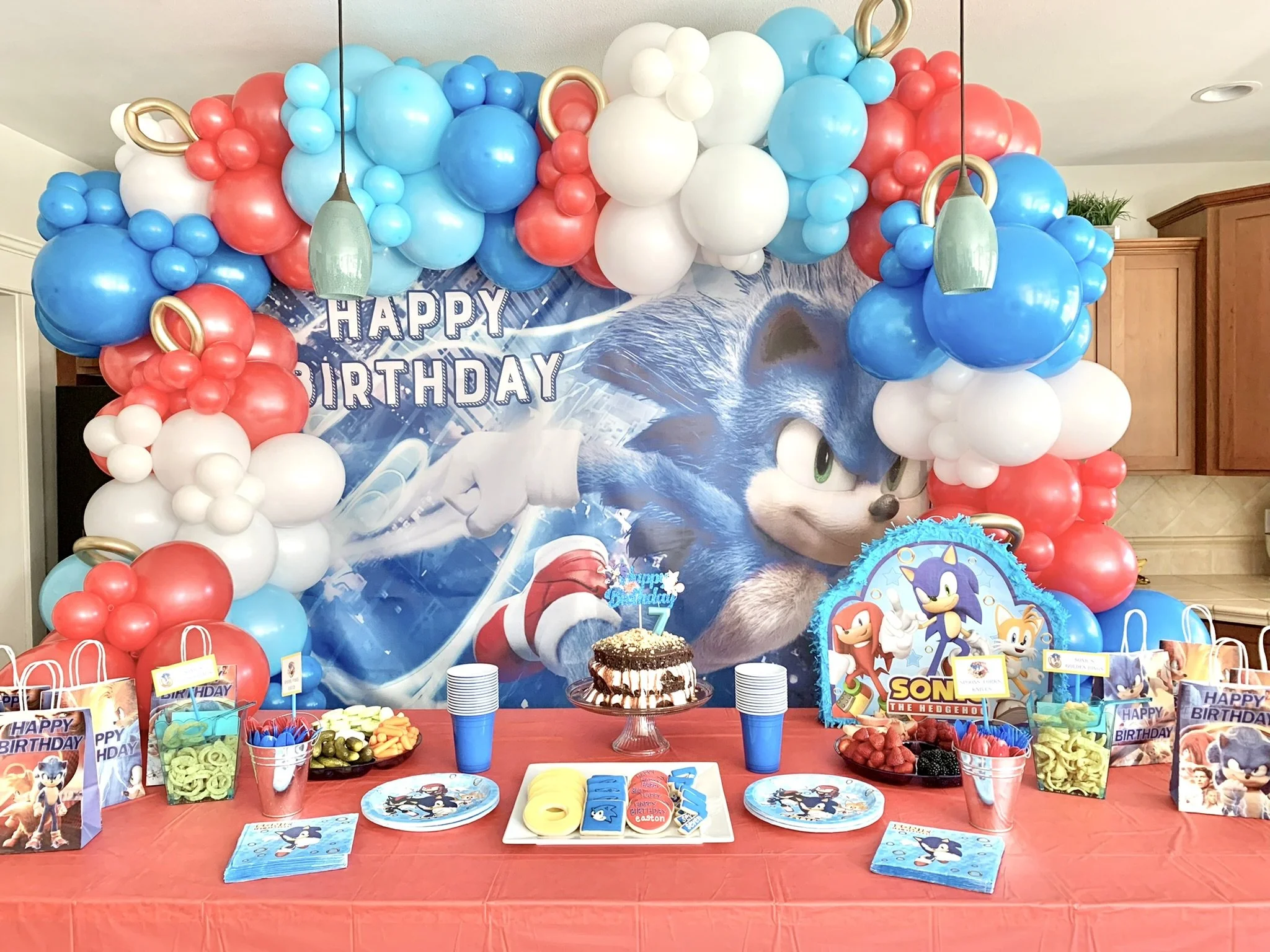 birthday-party-balloon-garldn-backdrop-sonic-hedgehog-tacoma-wa.JPEG