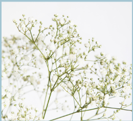 Ending a Wanted Pregnancy for Birthing Parents