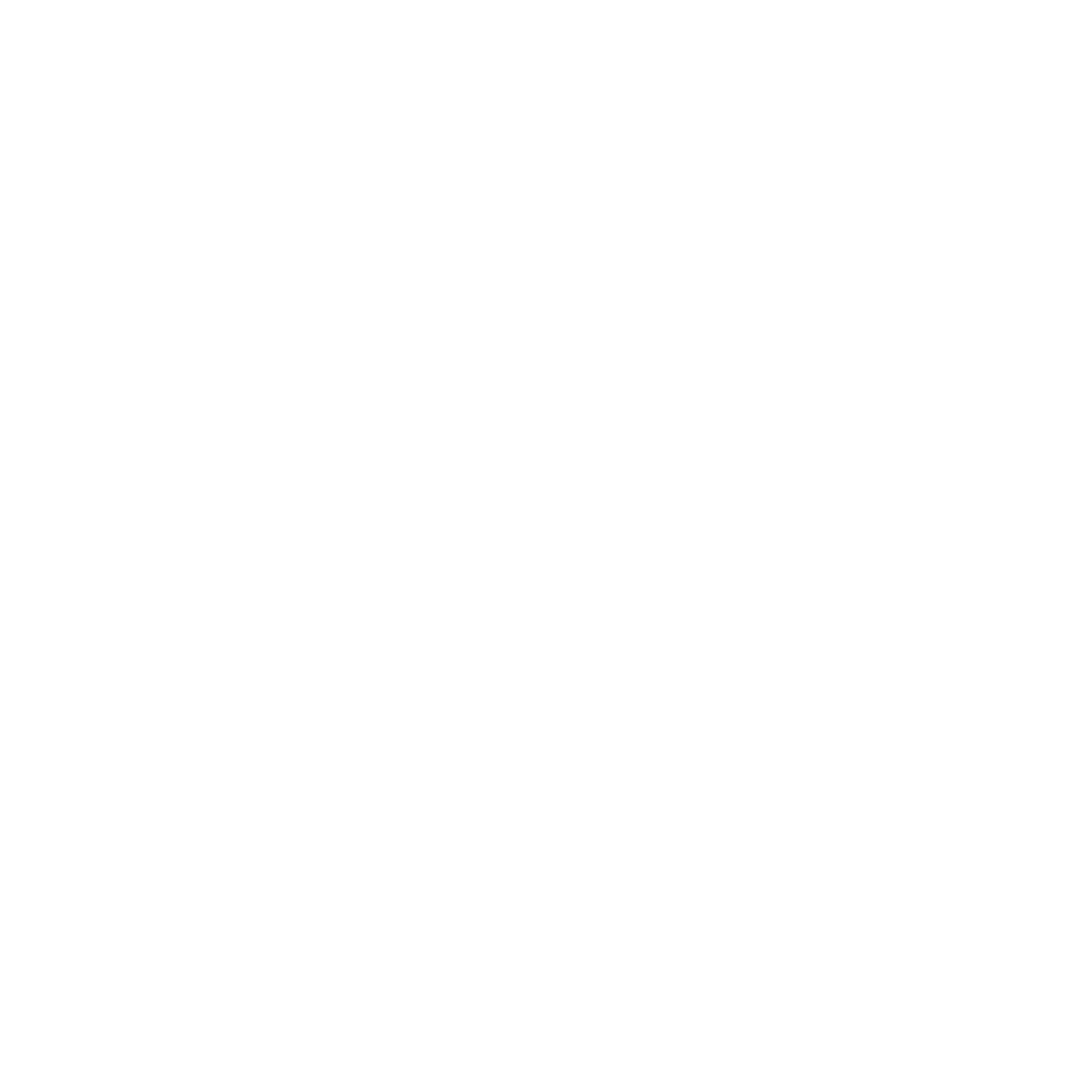 the amazing lorenzo landini