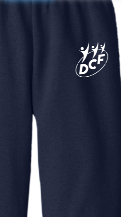 Adult Navy Sweatpants