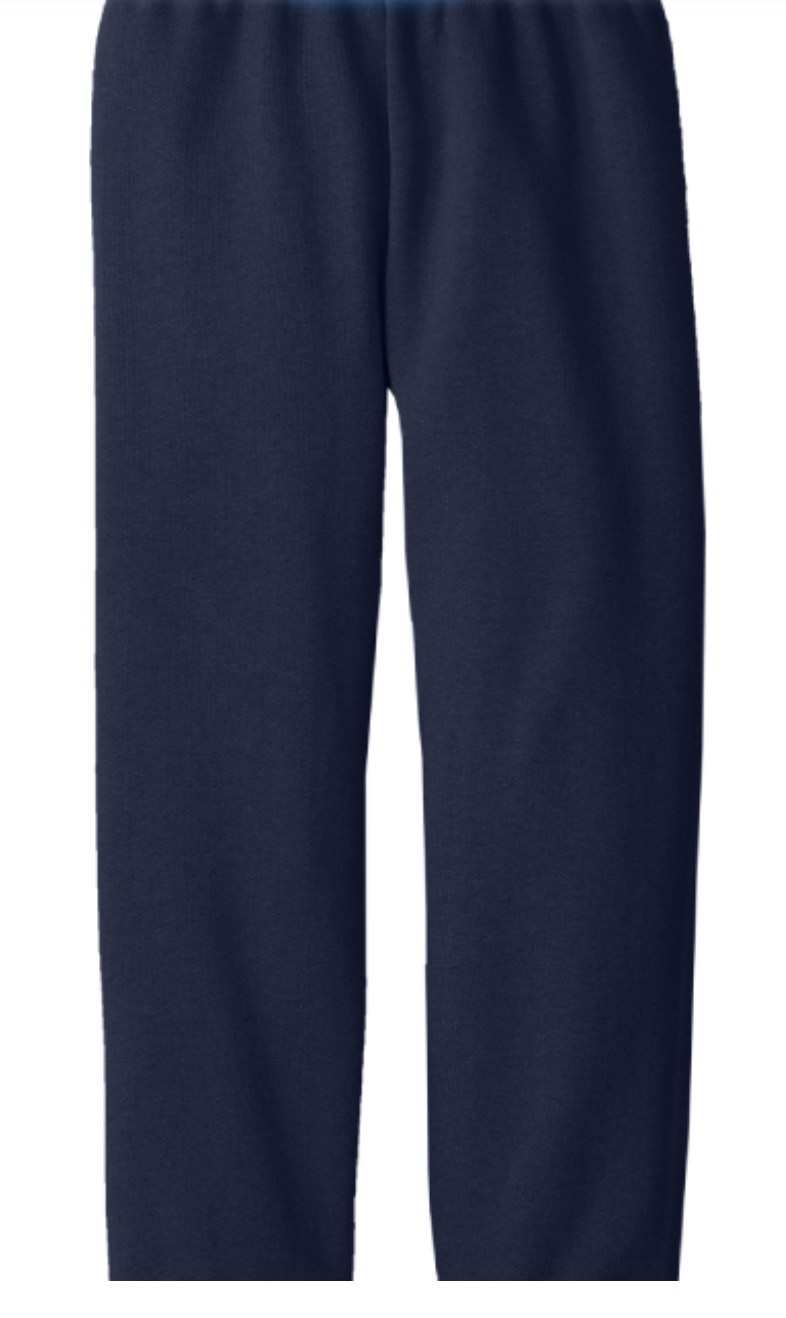 DCF - Navy Sweatpants - back.png