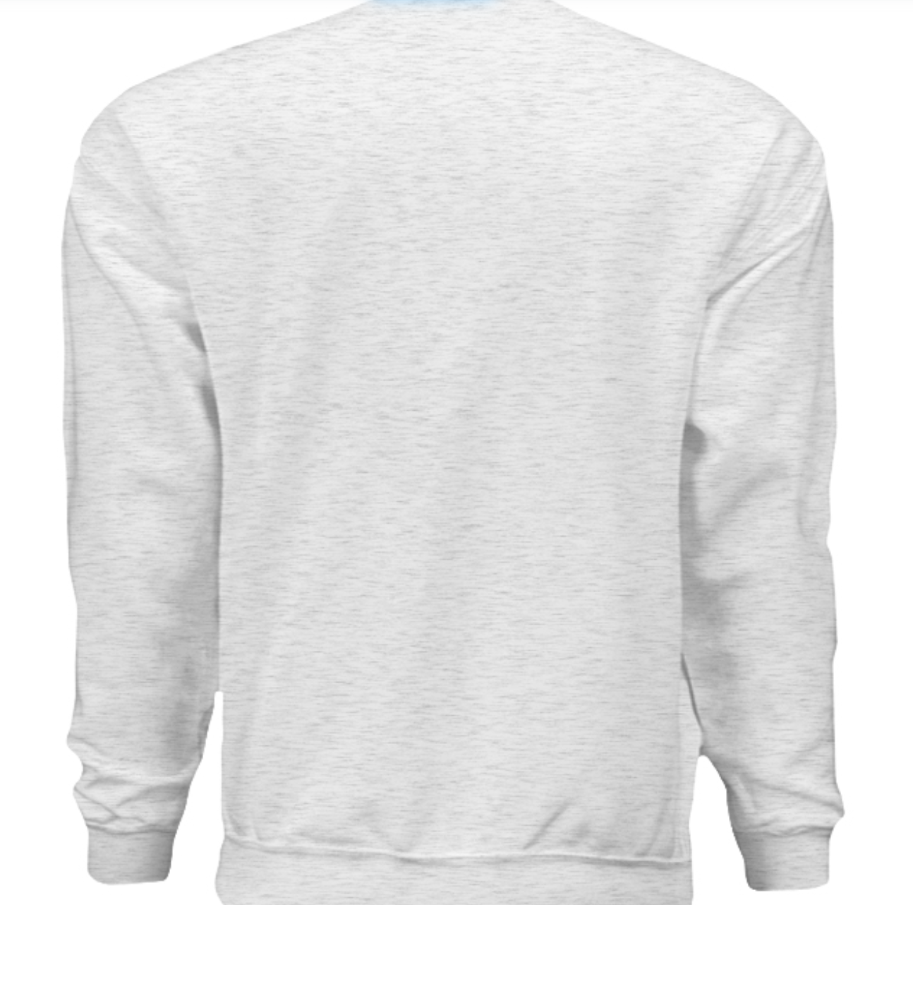 DCF - Grey crewneck sweatshirt - back.png