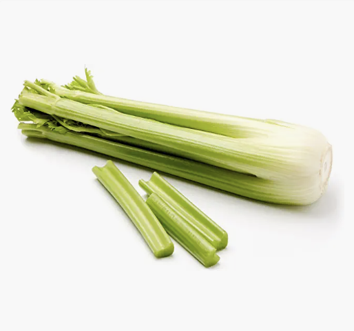 Screen Shot 2022-09-08 at 2.51.17 PM.png