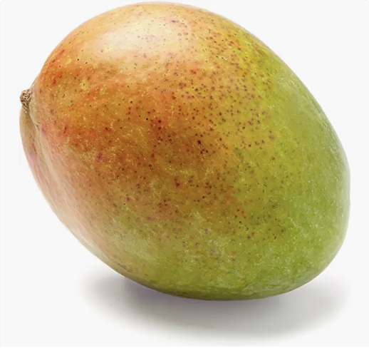 Screen Shot 2022-09-08 at 2.55.19 PM.png