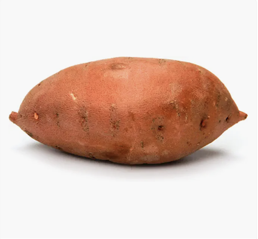 Screen Shot 2022-09-08 at 3.04.49 PM.png