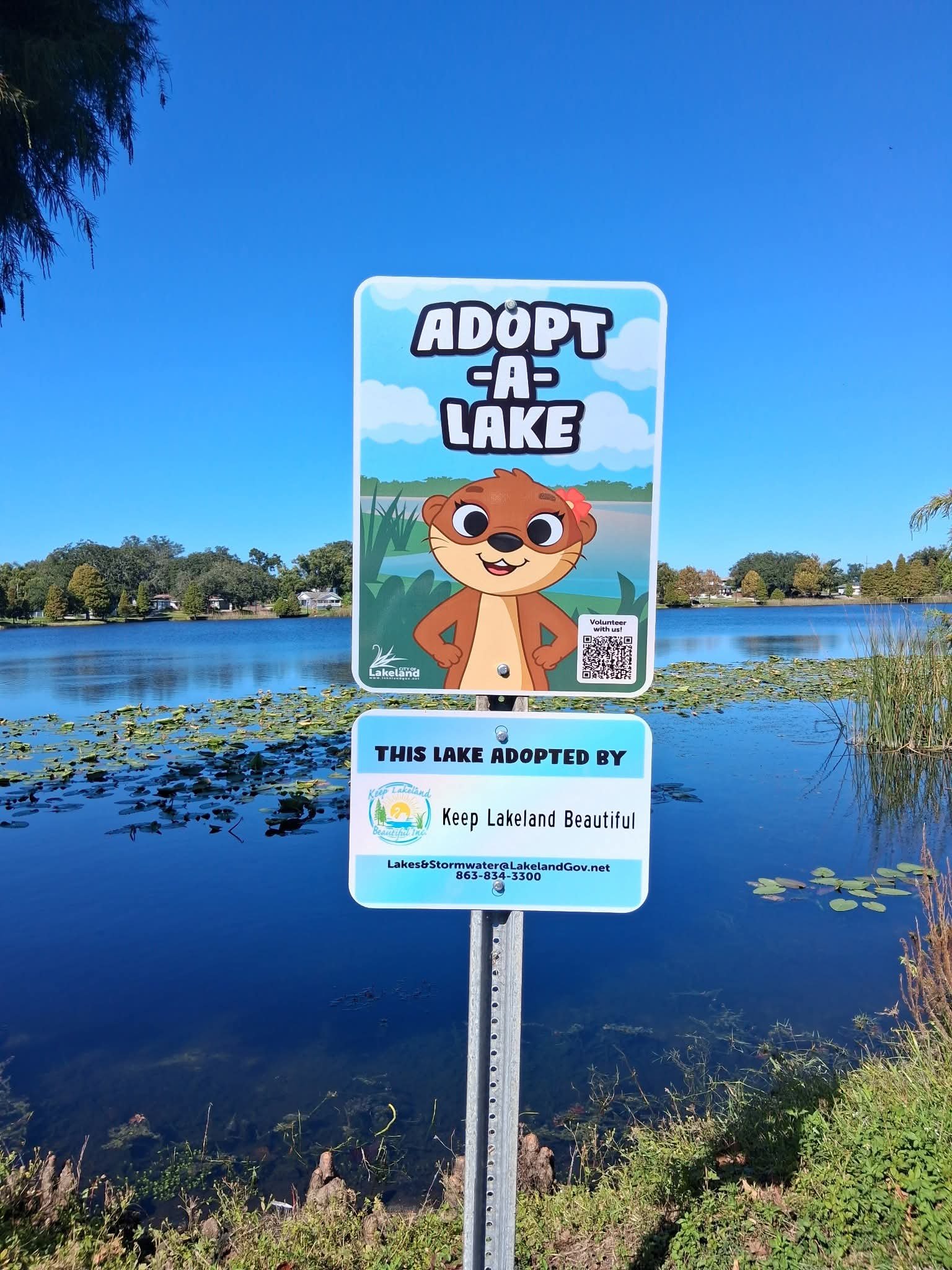 January Cleanup- Lake Beulah