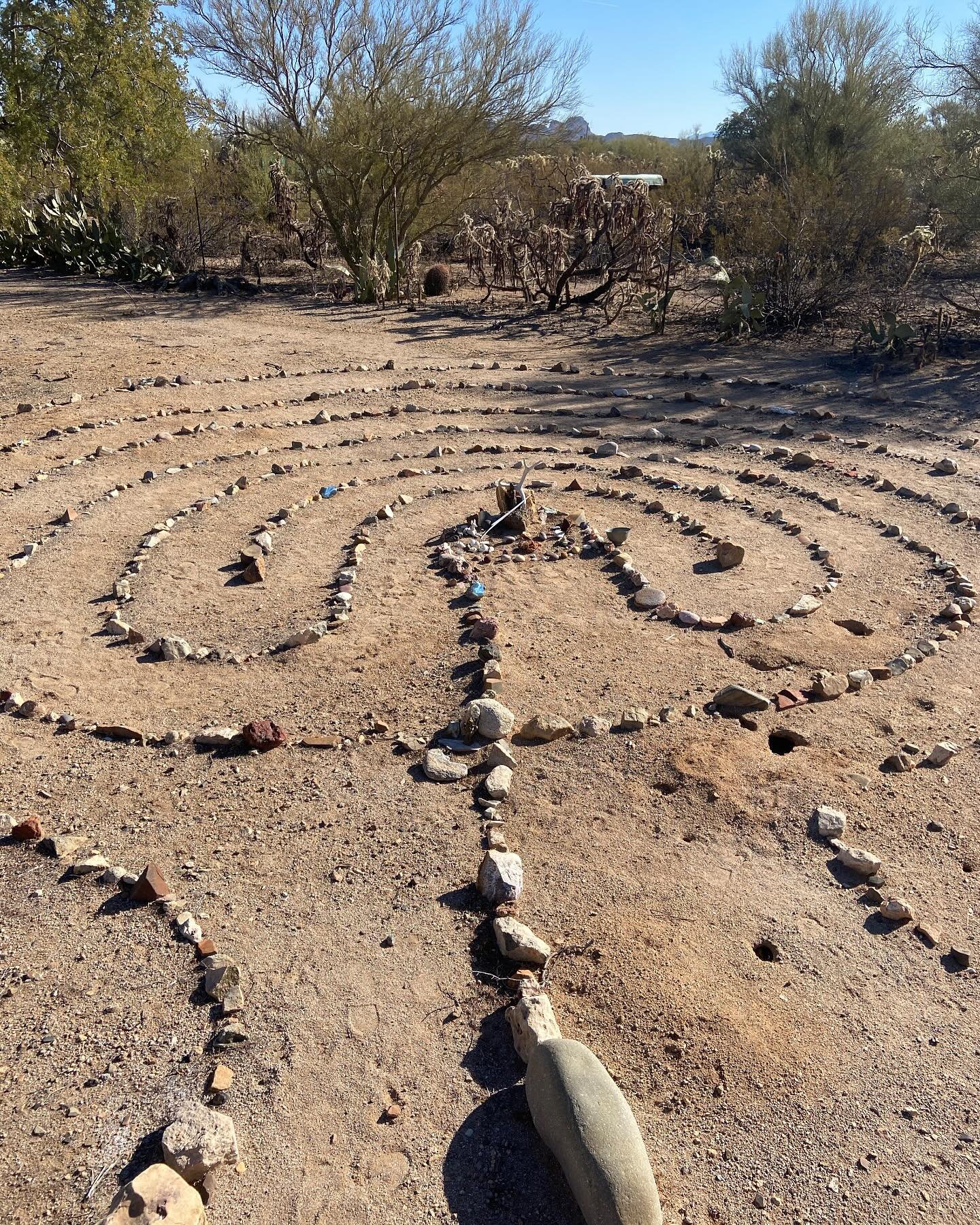 Happy Spring Equinox! Blessings of new beginnings and intentions at this time of equal parts light and dark. We stand in the balance, a potent time for manifesting the next 6 months. What seeds are you planting? What inspires trust in the Great Myste