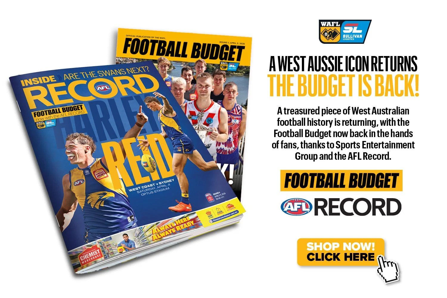 Homepage_Budget promo.jpg