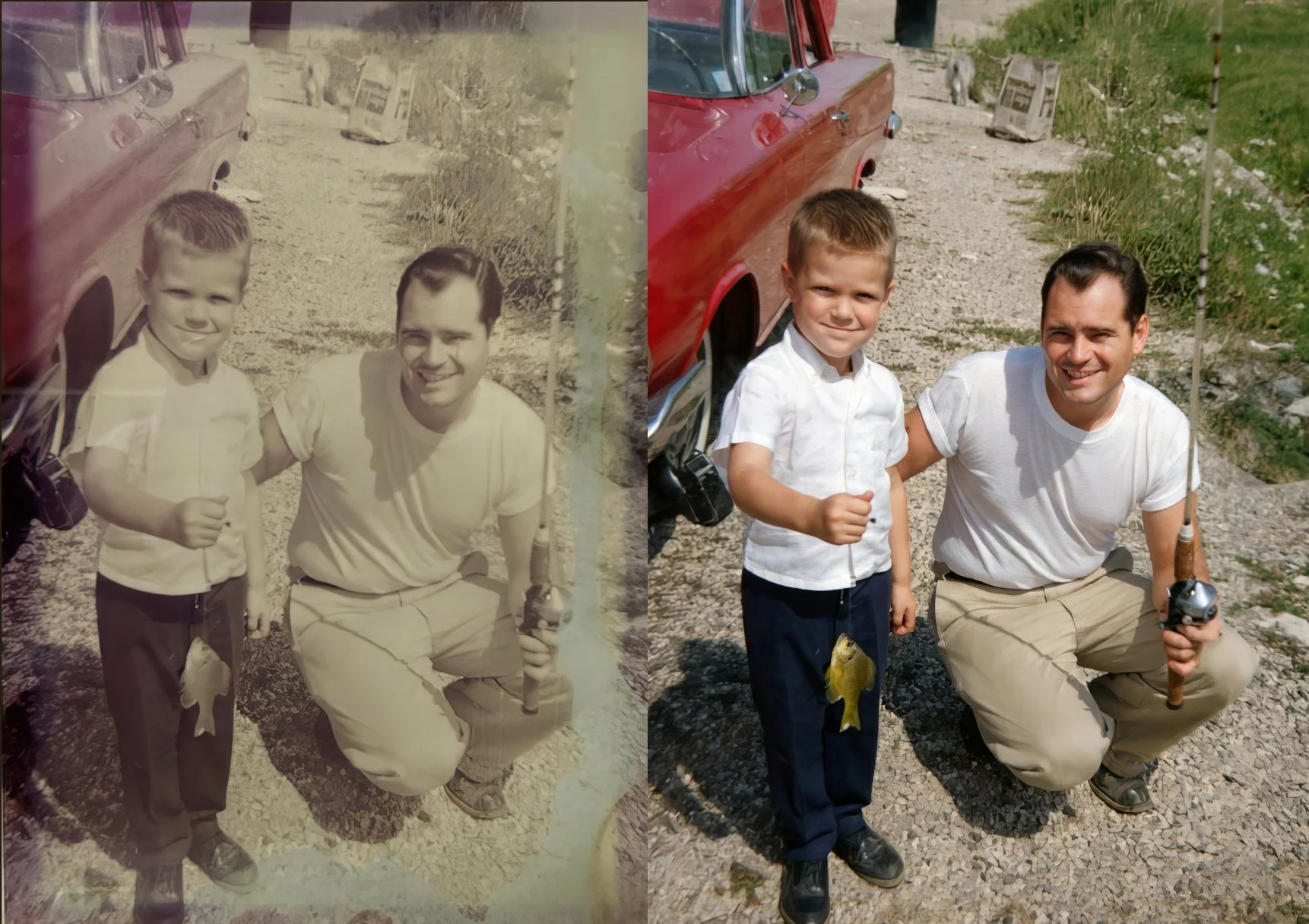 Color Restoration