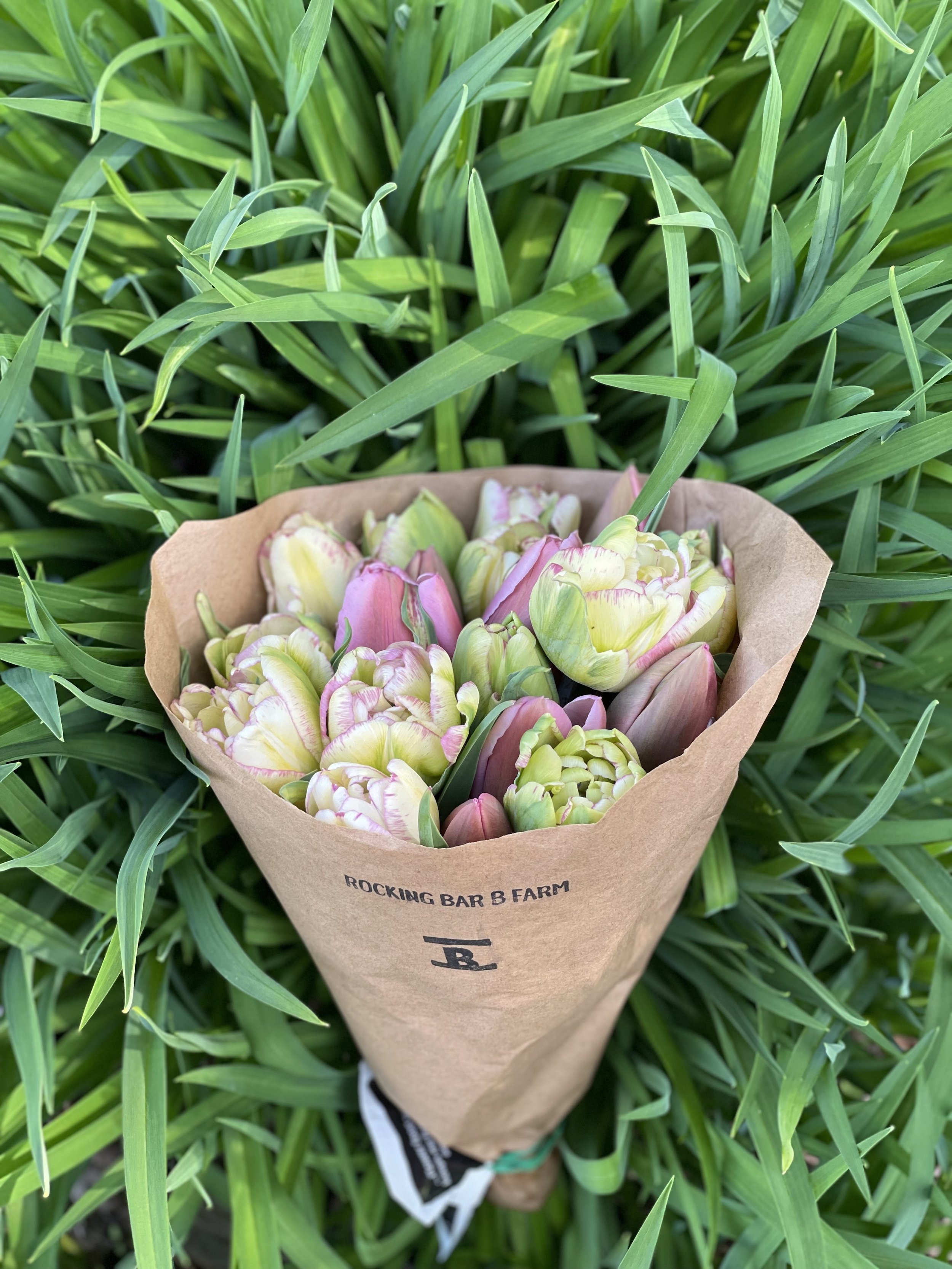 Tulip Bouquet