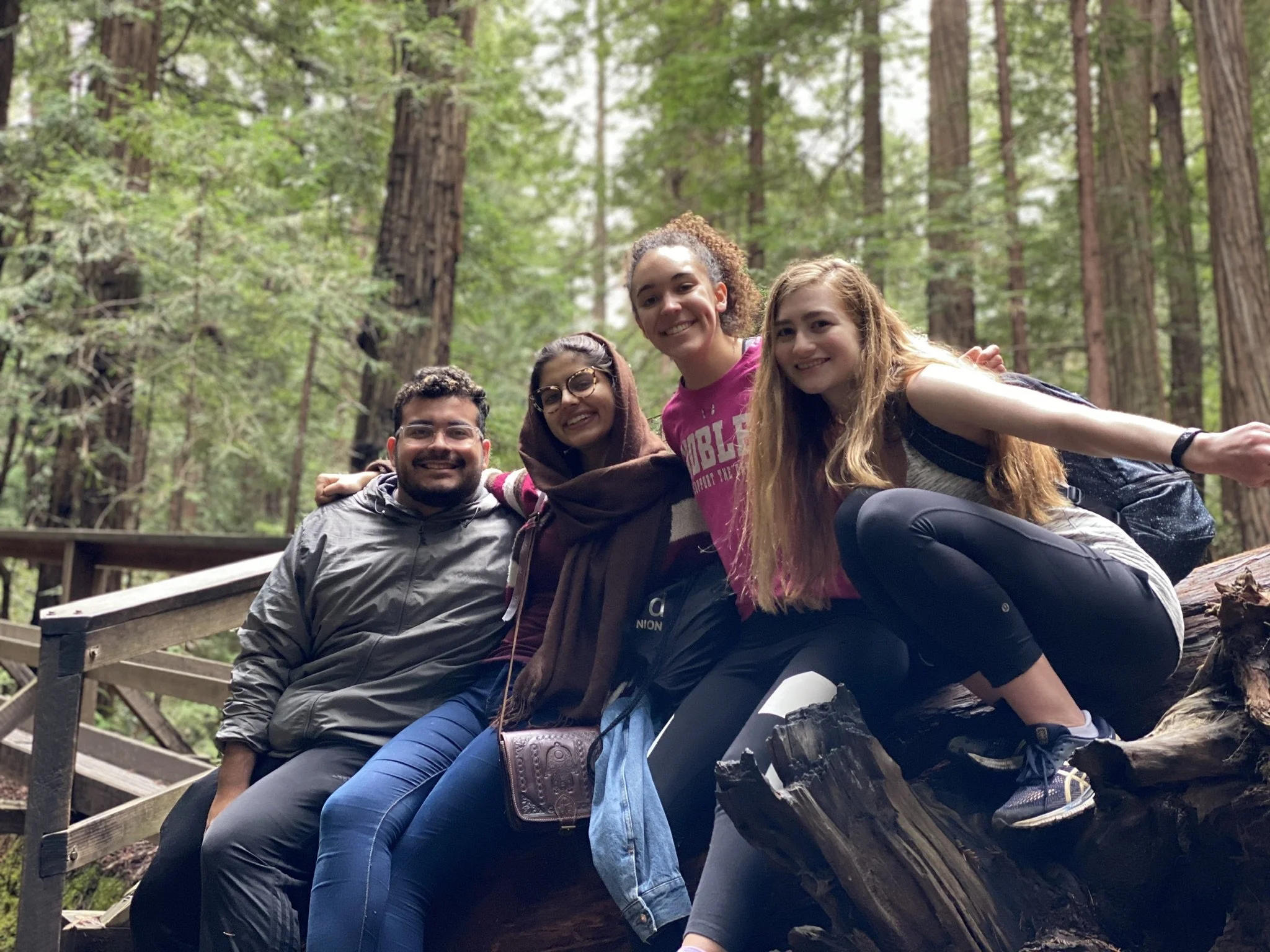 Hiking in Muir Woods