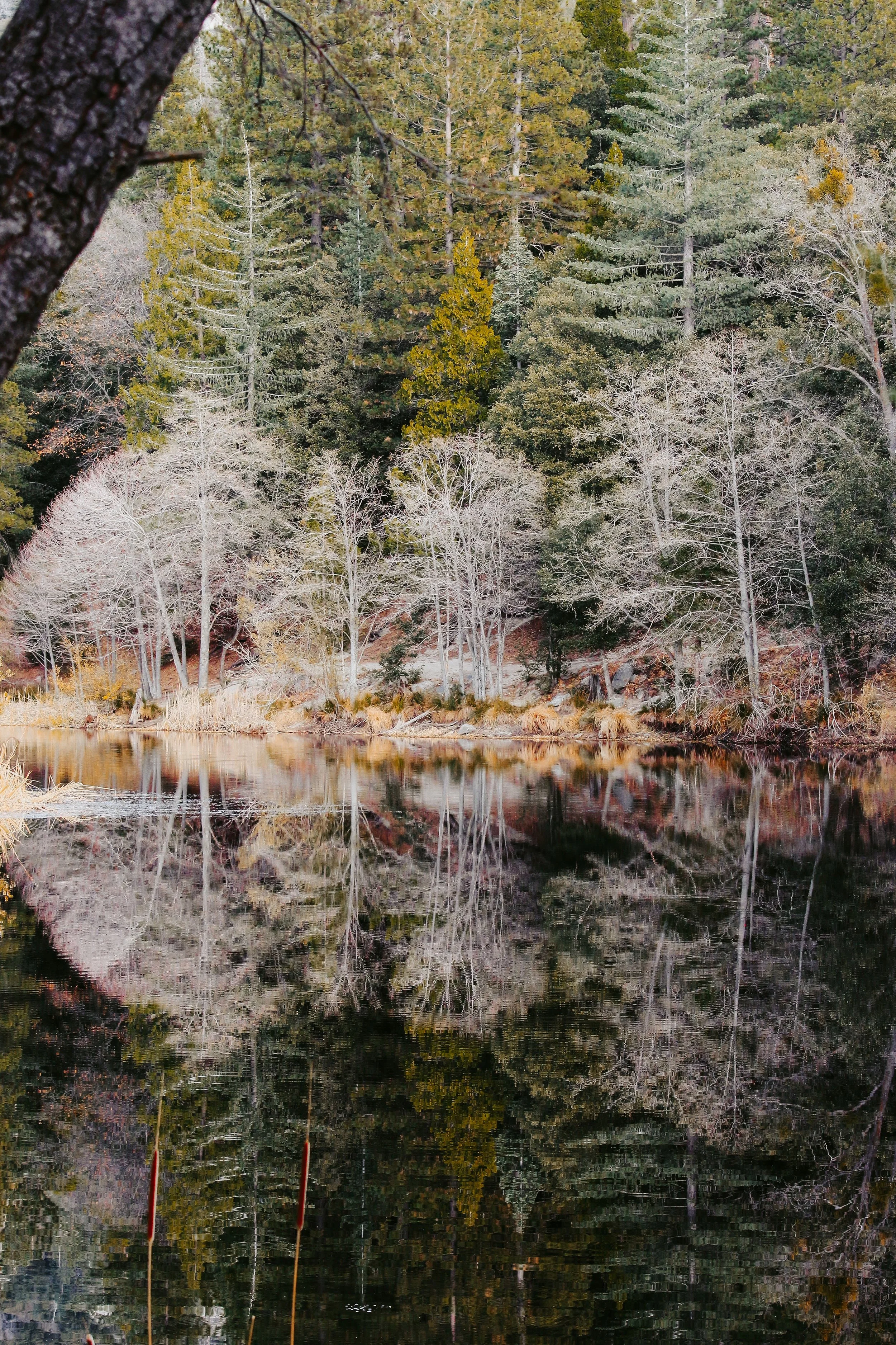 New Website Nature Favs 2022 - 31.jpeg