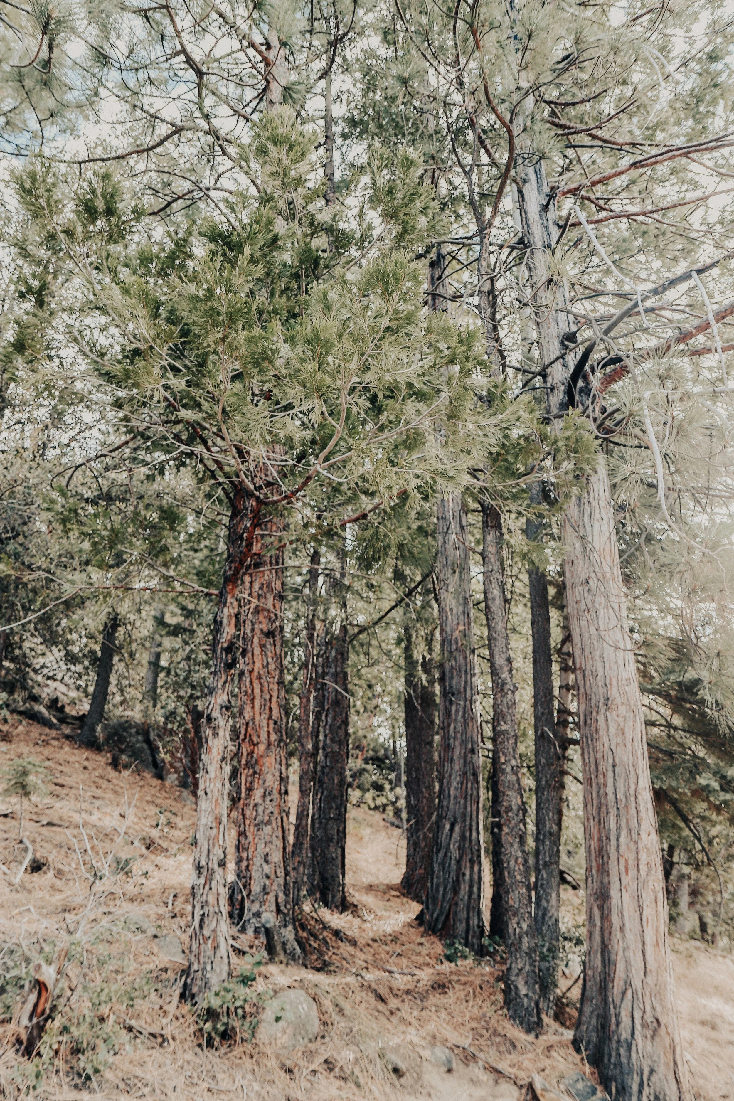 Huddled - Holli Z Photography - 1.jpeg
