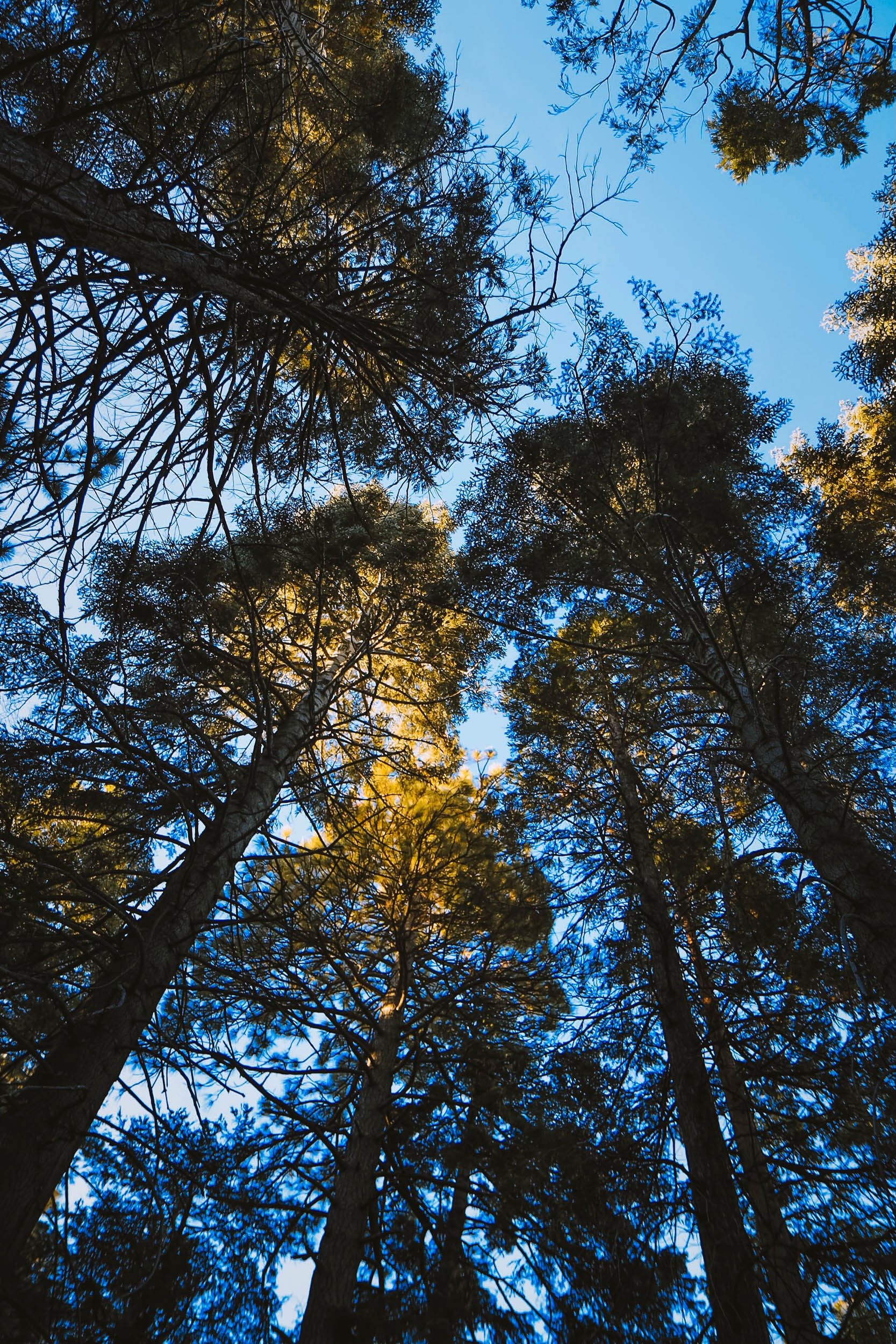 Shifting Shadows - Holli Z Photography - 7.jpeg