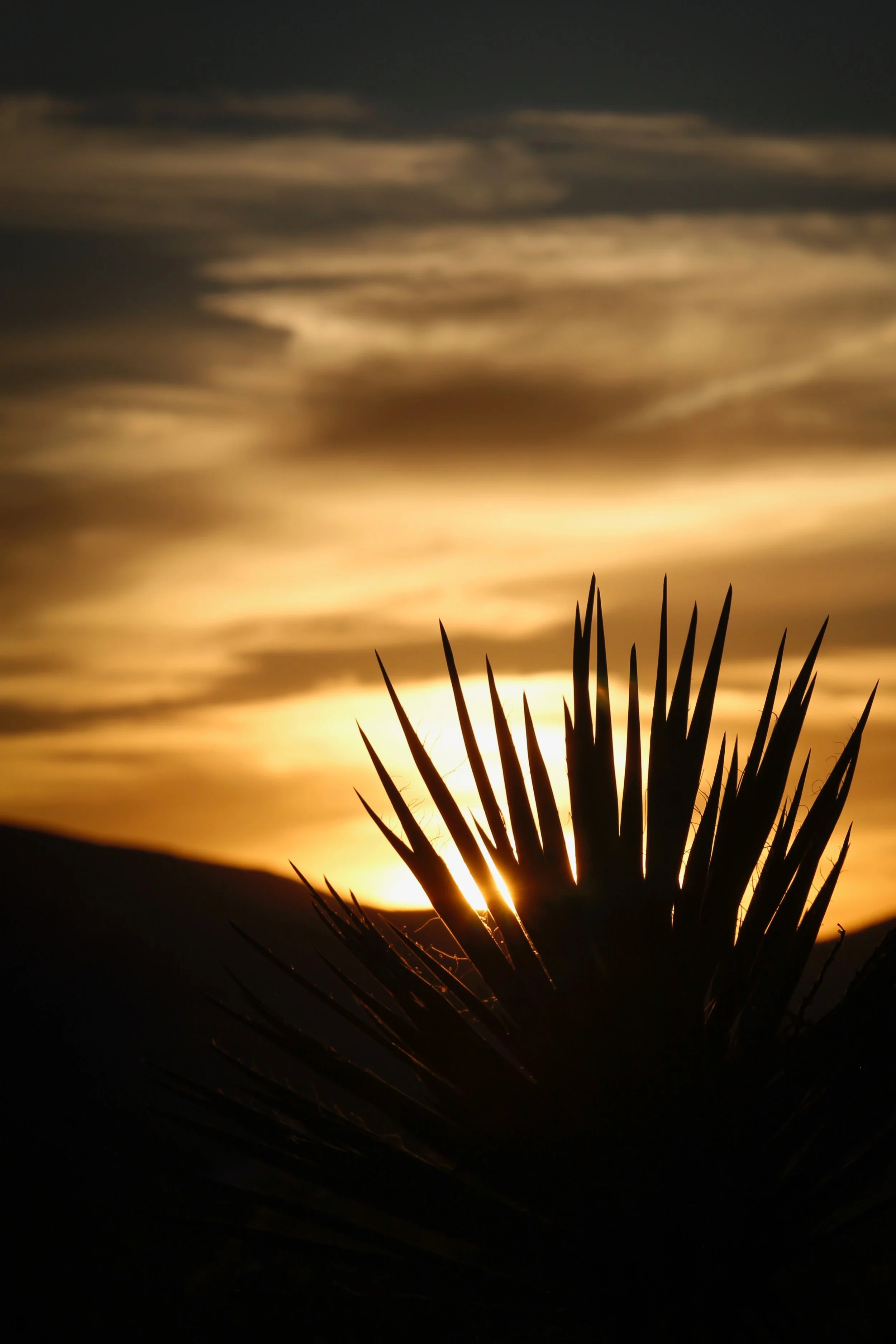 Sundial - Holli Z Photography - 1.jpeg