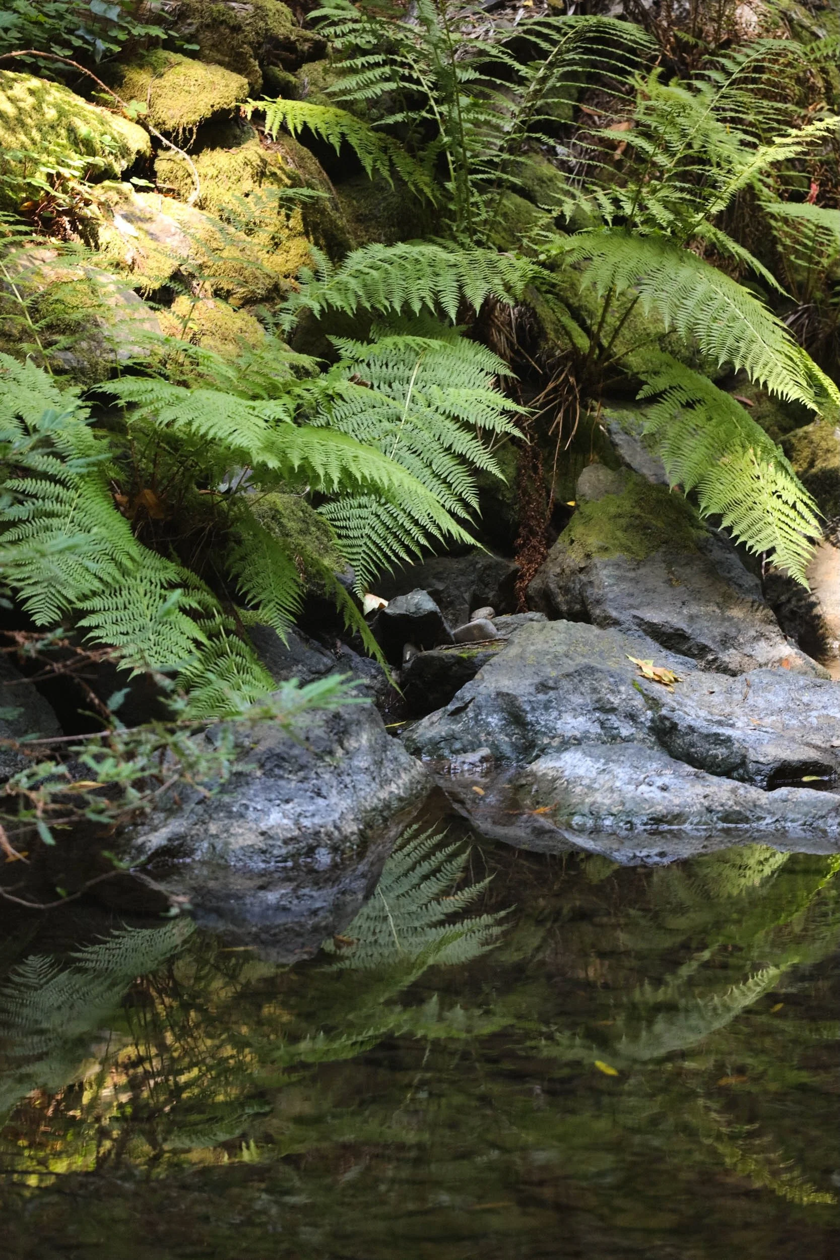 Beaneath Giants Series - 6.jpeg