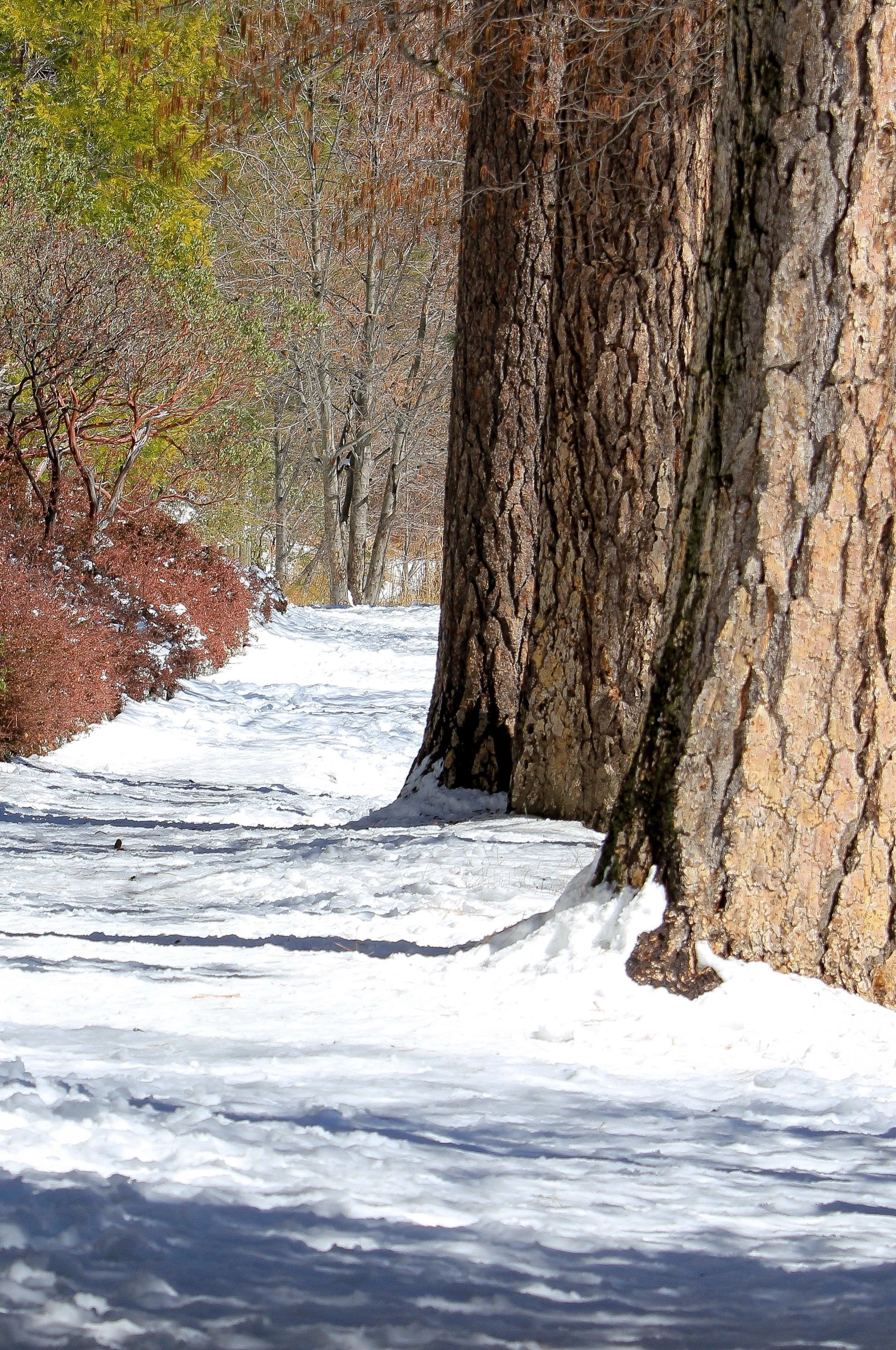 New Website Nature Favs 2022 - 10.jpeg