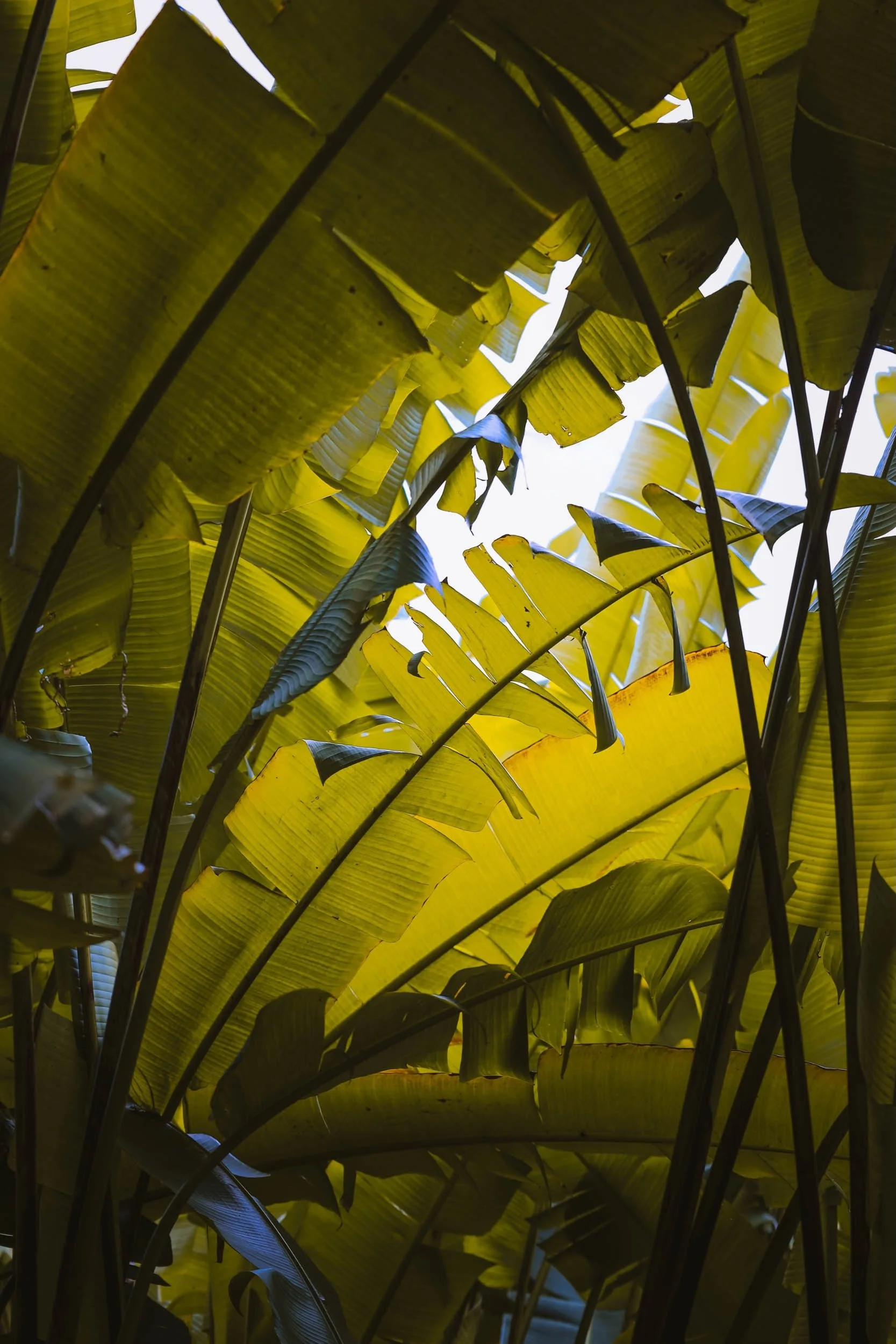 Hideaway - Holli Z Photography - 1.jpeg