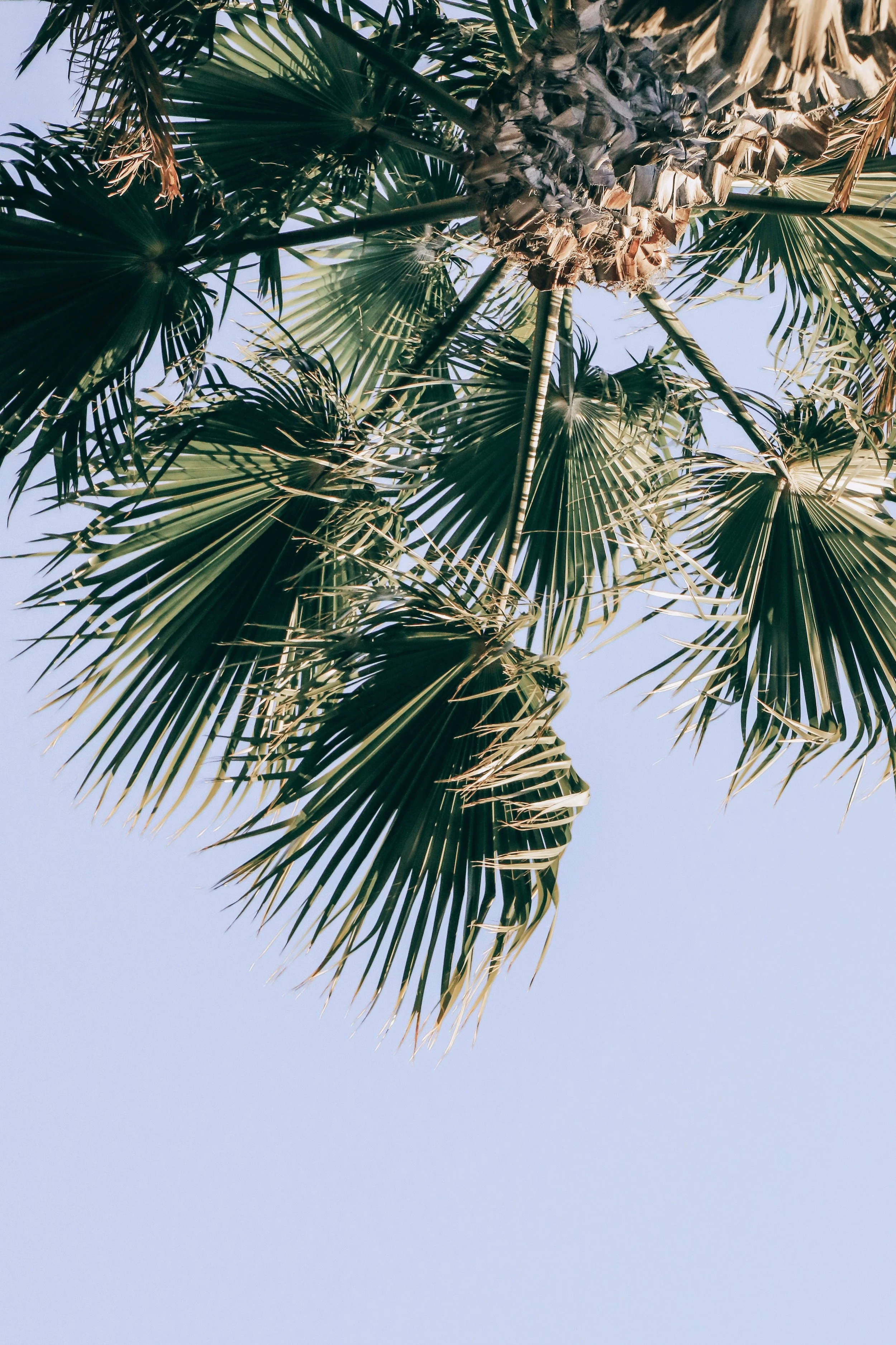 New Website Nature Favs 2022 - 37.jpeg