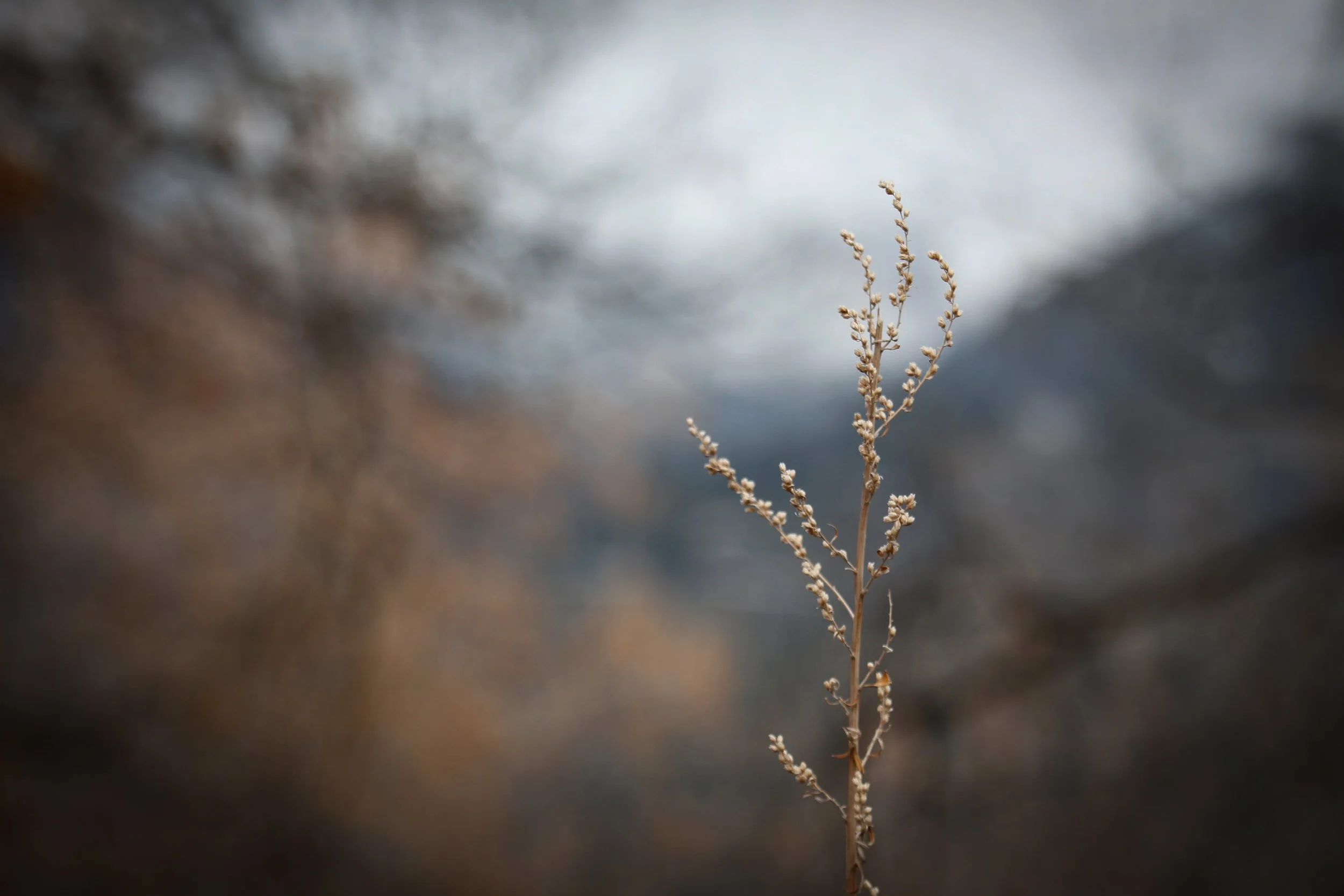 New Website Nature Favs 2022 - 3.jpeg