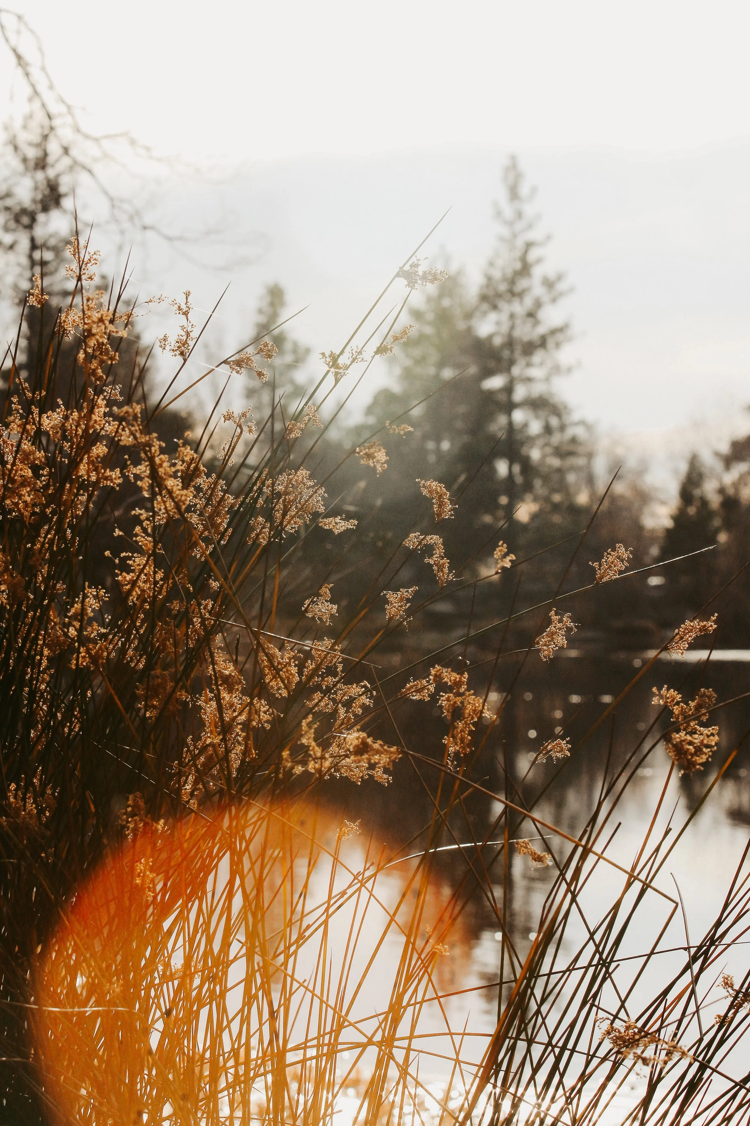 New Website Nature Favs 2022 - 33.jpeg