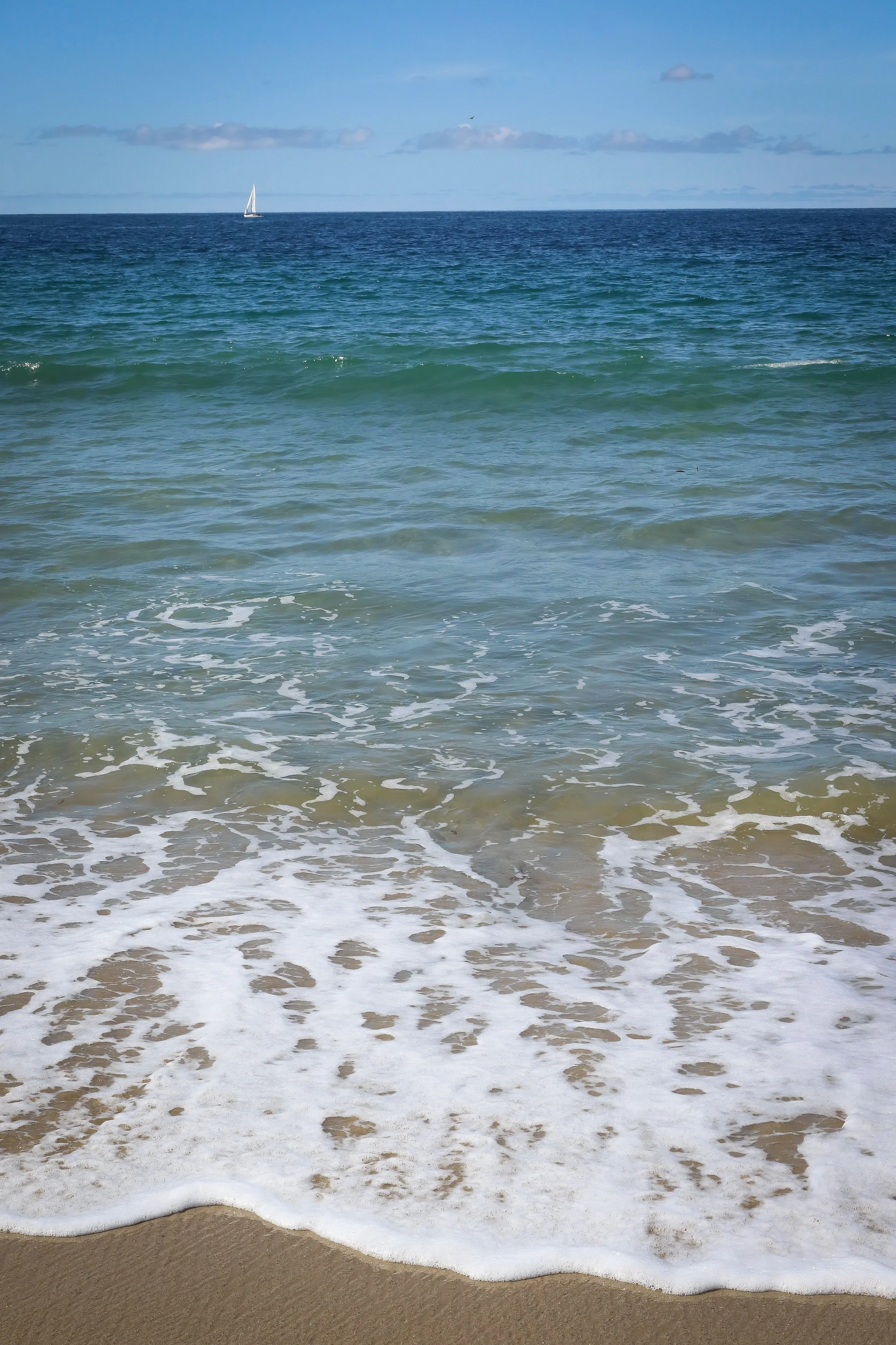 New Website Nature Favs 2022 - 21.jpeg