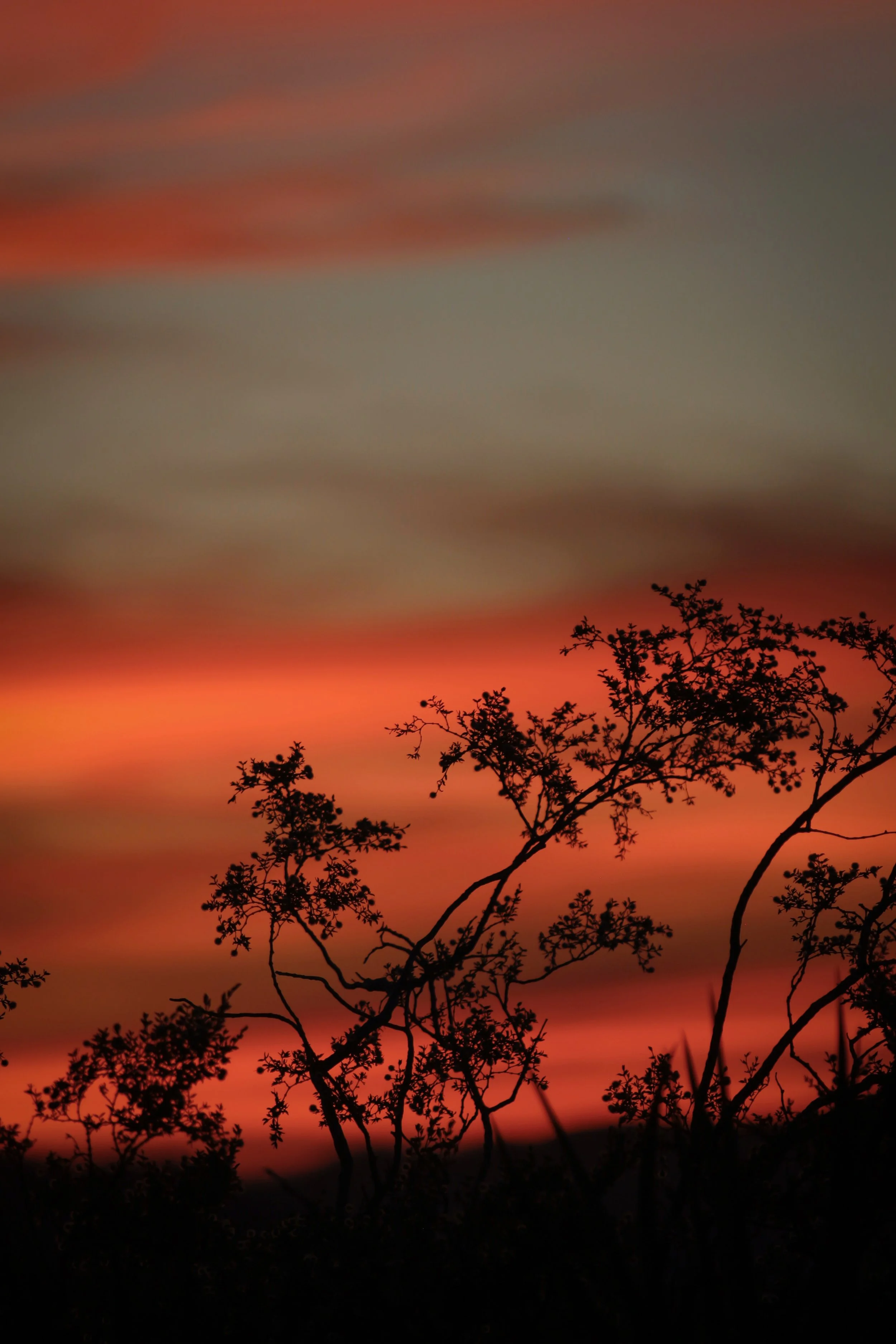 New Website Nature Favs 2022 - 29.jpeg