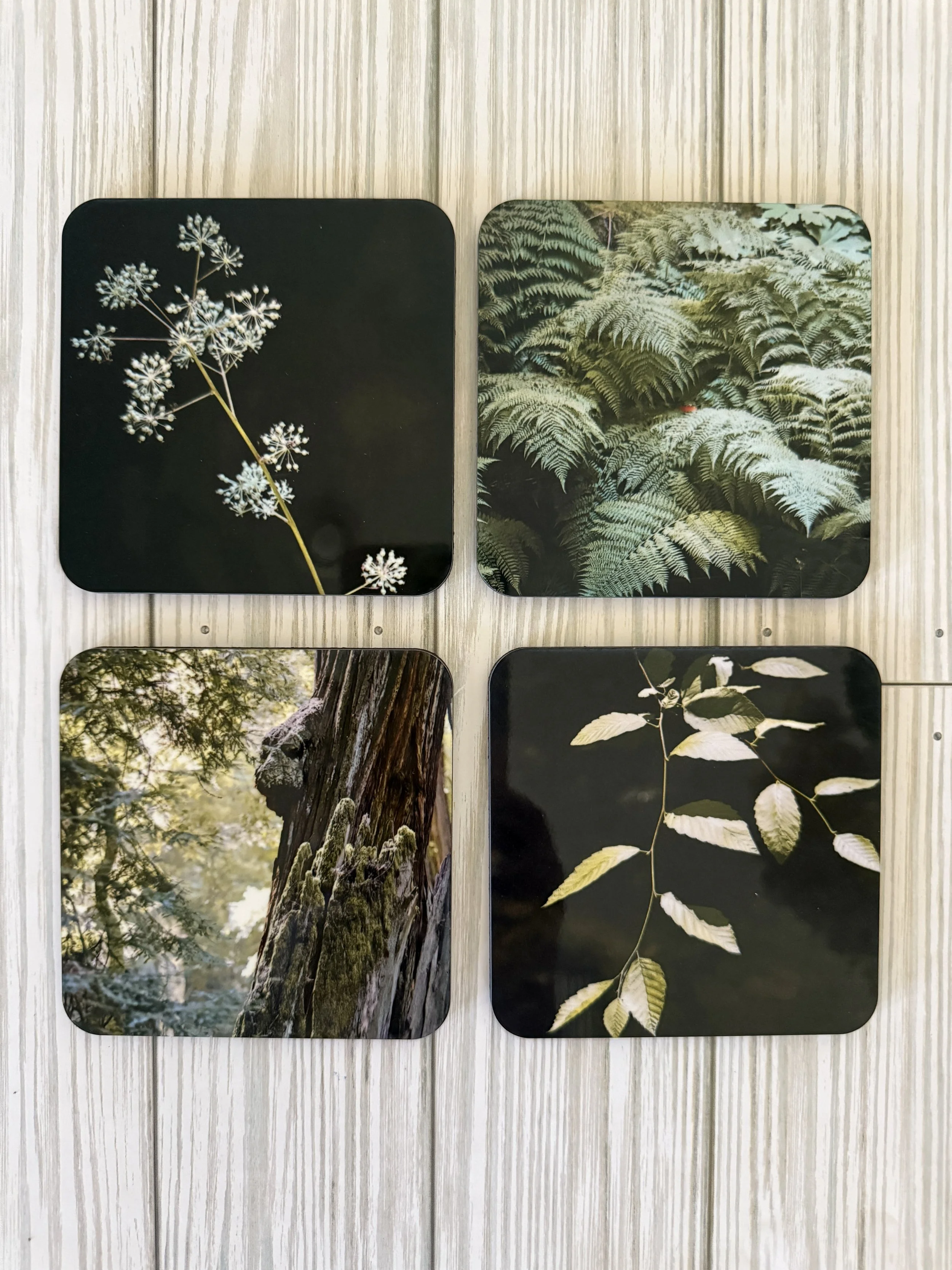 Beneath Giants coaster set